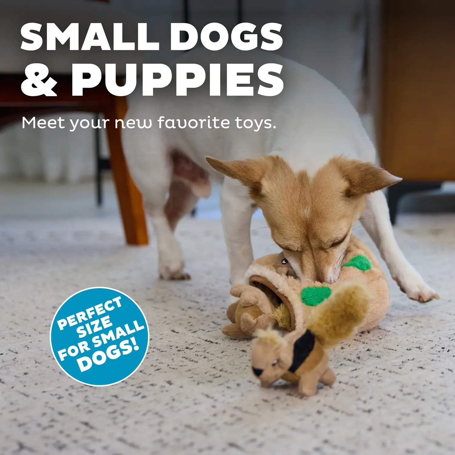 Outward Hound Squeakin' Animals Dog Toy Squirrel 3 Count - Image 5