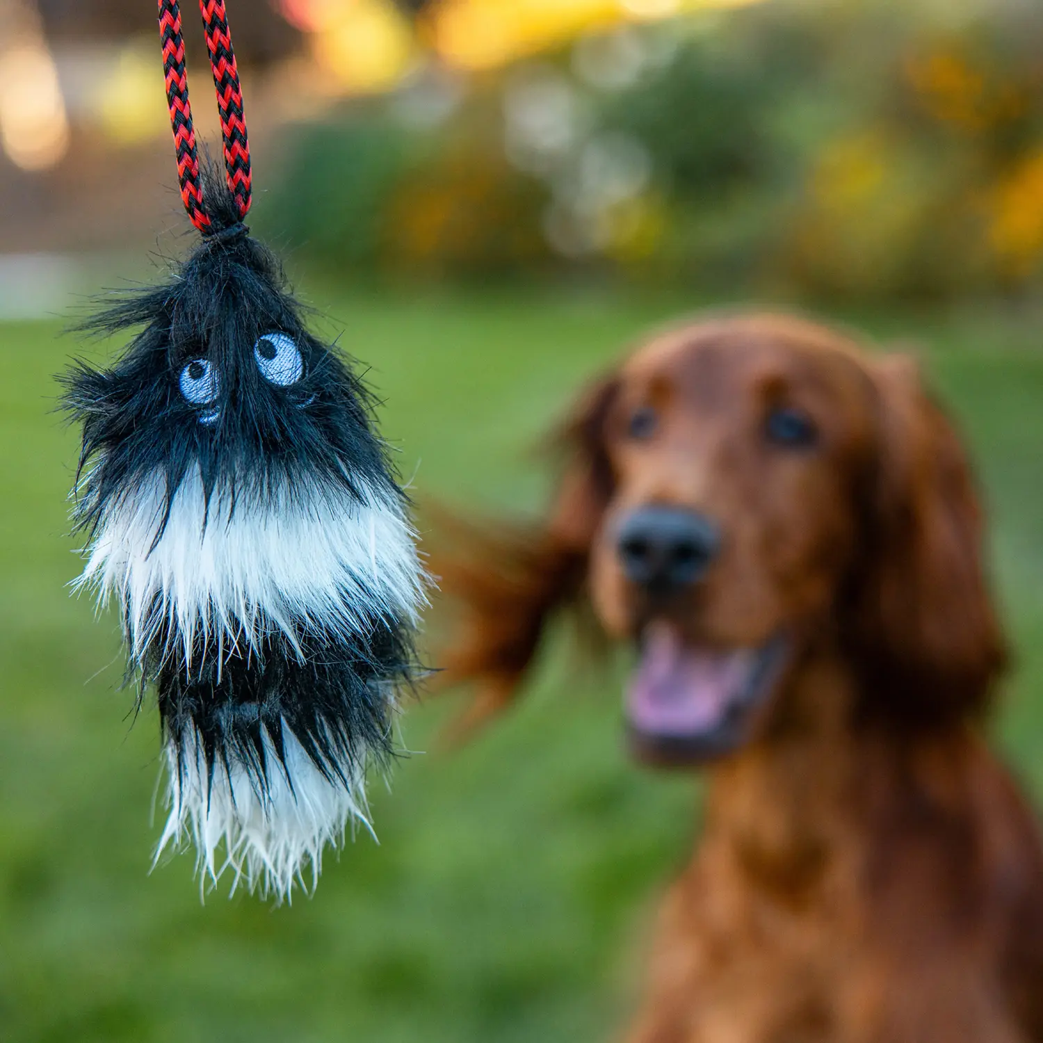 Outward Hound Tail Teaser Dog Wand Toy with Refill Multicolor - Image 8