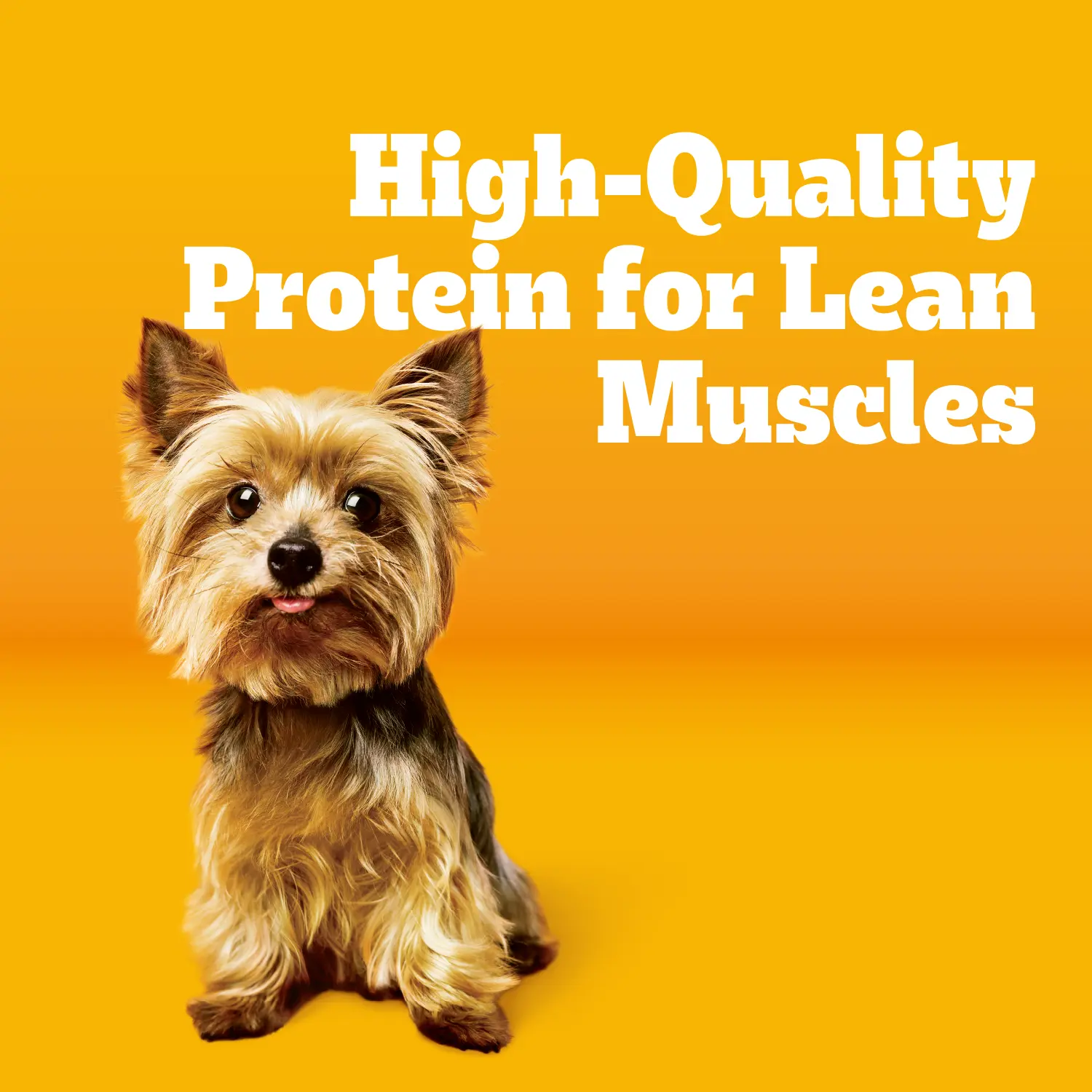 Pedigree Complete Nutrition Tender Bites Small Breed Adult Dry Dog Food Chicken & Steak 3.5-lb - Image 10