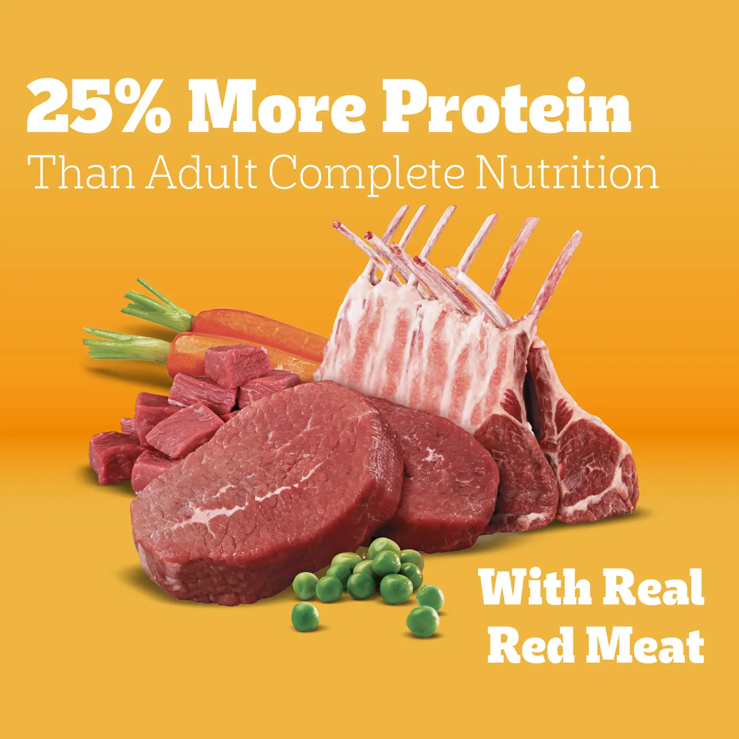Pedigree High Protein Adult Dry Dog Food Beef & Lamb 3.5-lb - Image 11