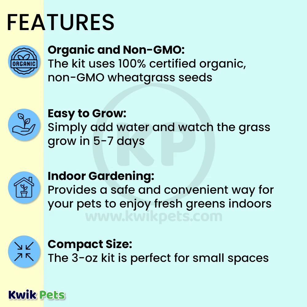 Pet Greens Garden Pet Grass Self-Grow Kit Organic Wheatgrass 3-oz - Image 3