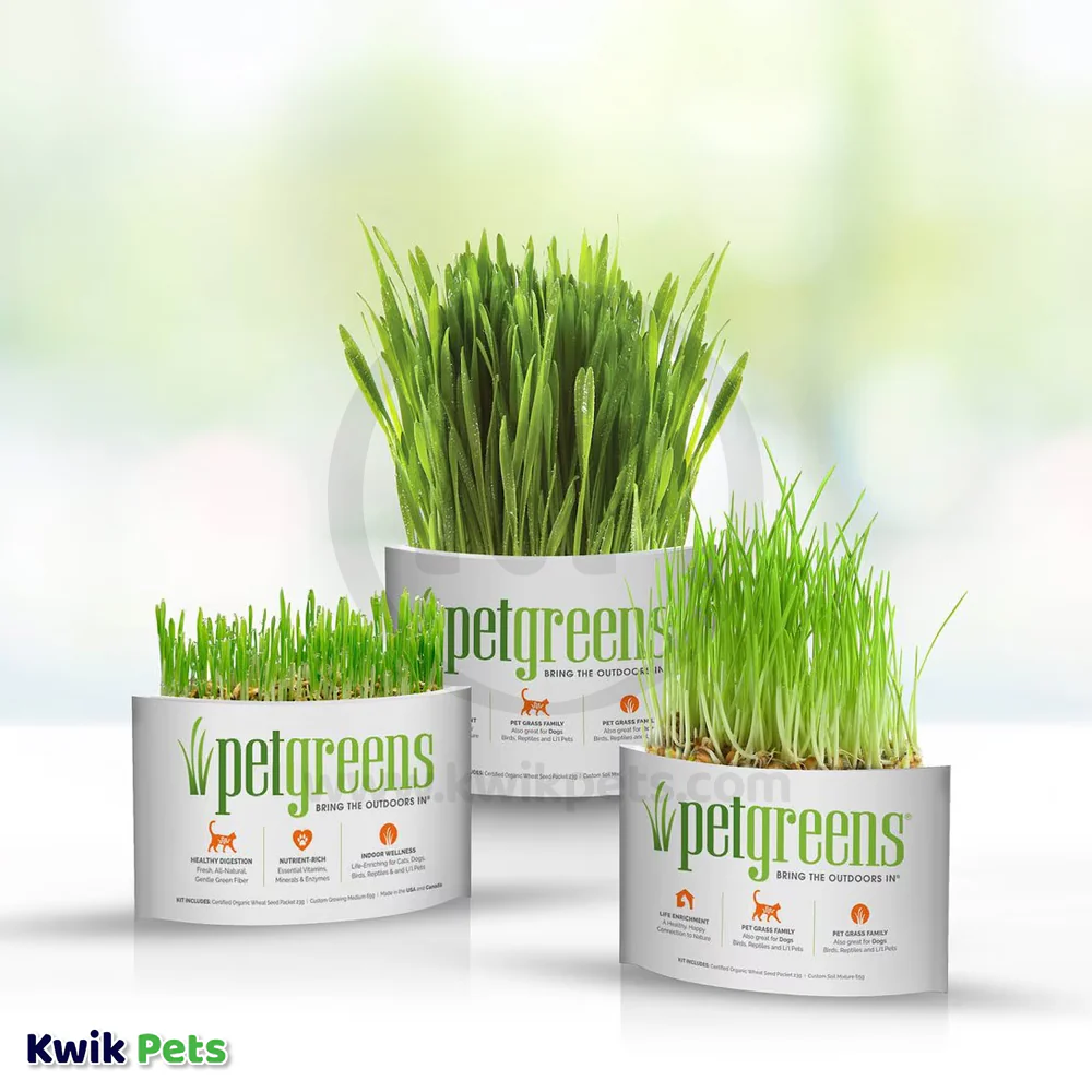 Pet Greens Garden Pet Grass Self-Grow Kit Organic Wheatgrass 3-oz - Image 7