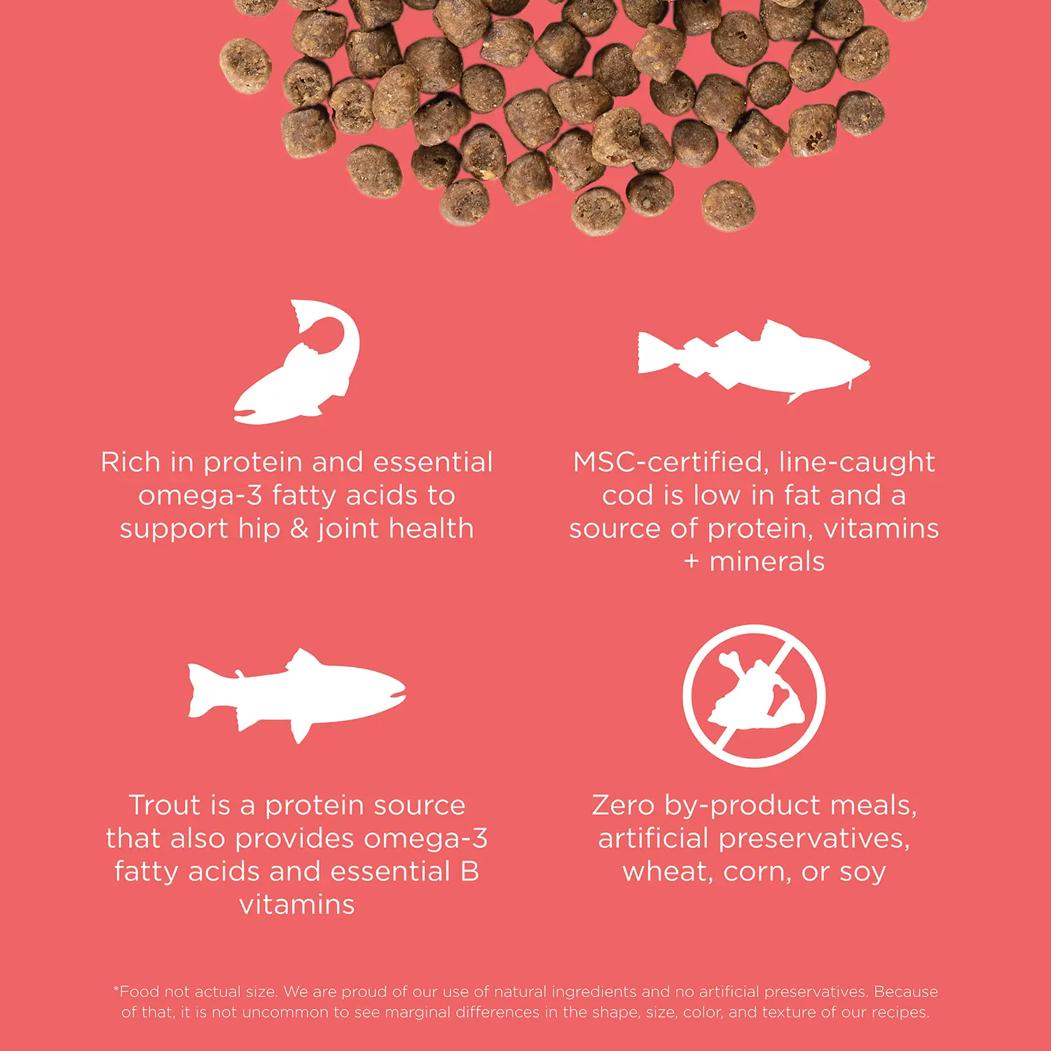 Petcurean Go! Solutions Carnivore Grain-Free Dry Cat Food Salmon & Cod 3-lb - Image 2