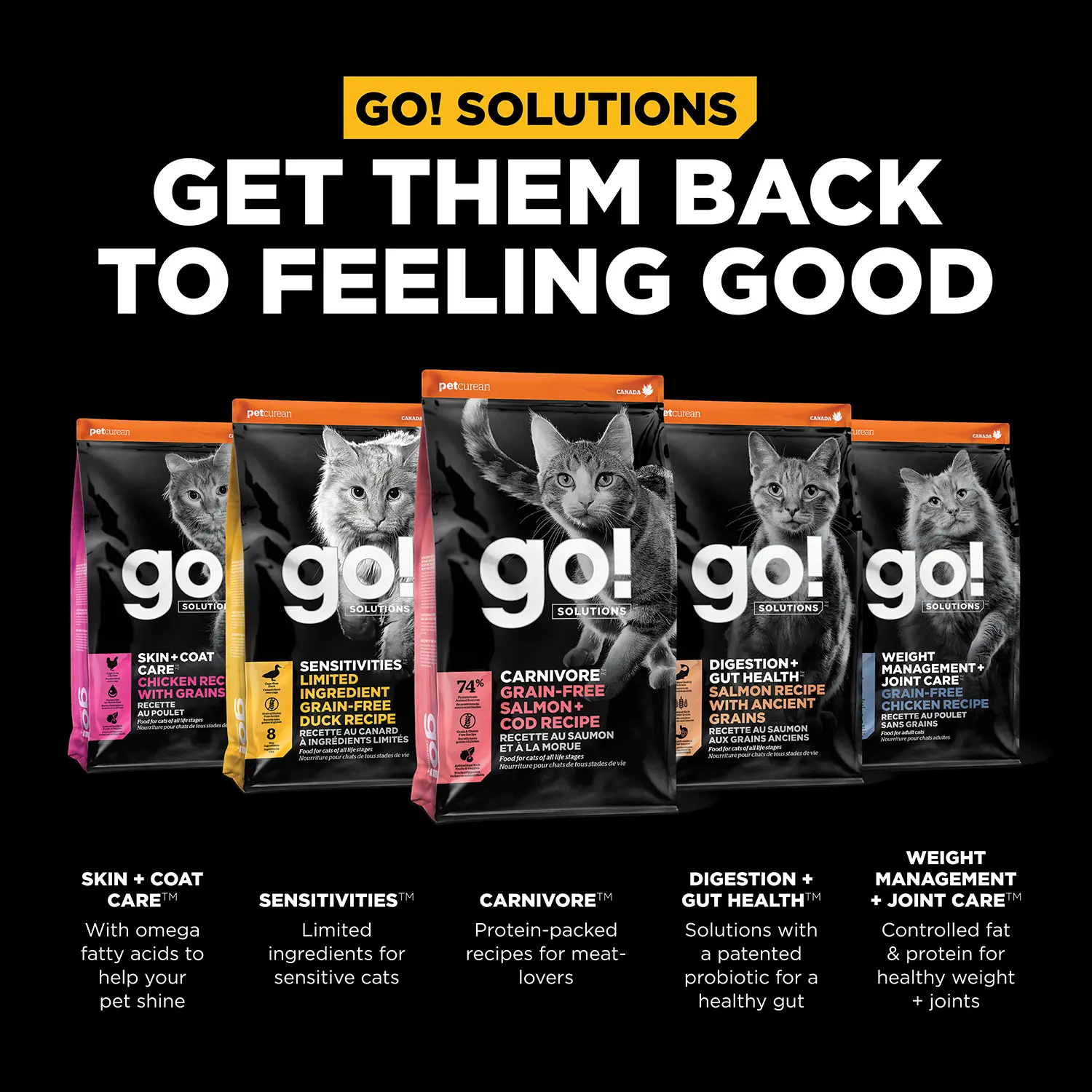 Petcurean Go! Solutions Carnivore Grain-Free Dry Cat Food Salmon & Cod 3-lb - Image 6