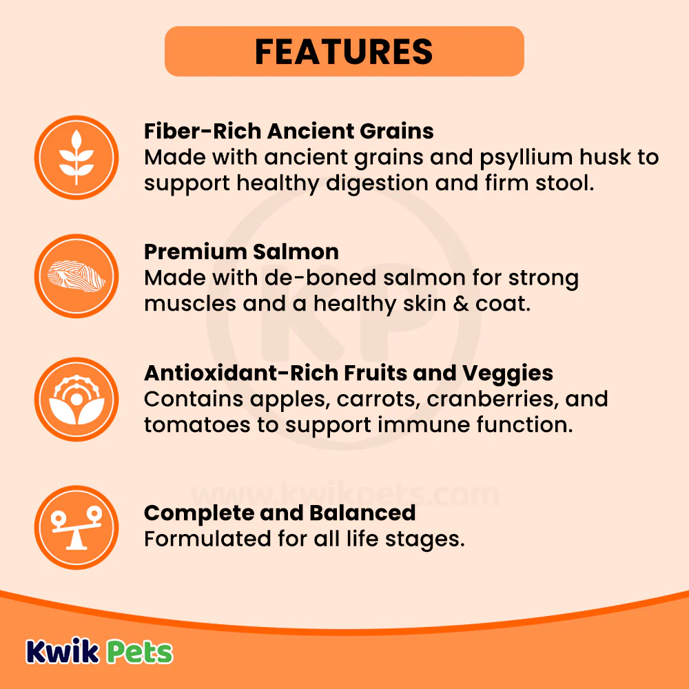 Petcurean Go! Solutions Digestion & Gut Health Dry Cat Food Salmon with Ancient Grains 3-lb - Image 2