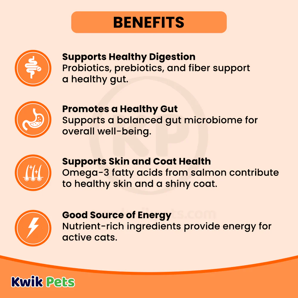 Petcurean Go! Solutions Digestion & Gut Health Dry Cat Food Salmon with Ancient Grains 3-lb - Image 3