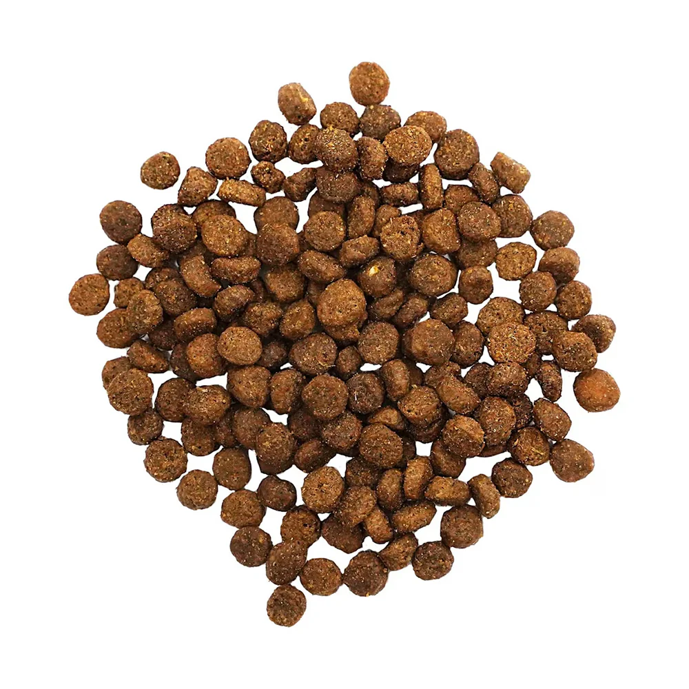 Petcurean Go! Solutions Digestion & Gut Health Dry Cat Food Salmon with Ancient Grains 3-lb - Image 6