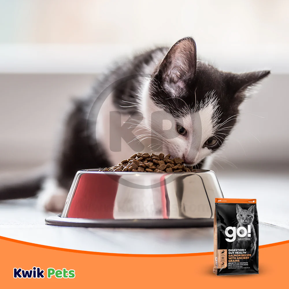 Petcurean Go! Solutions Digestion & Gut Health Dry Cat Food Salmon with Ancient Grains 3-lb - Image 7