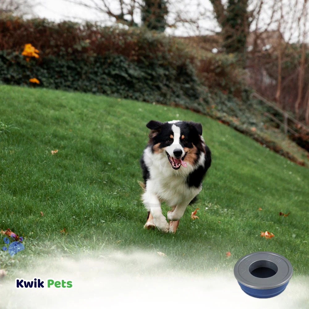 Petmate No Spill Dog Bowl Blue Medium - Image 5