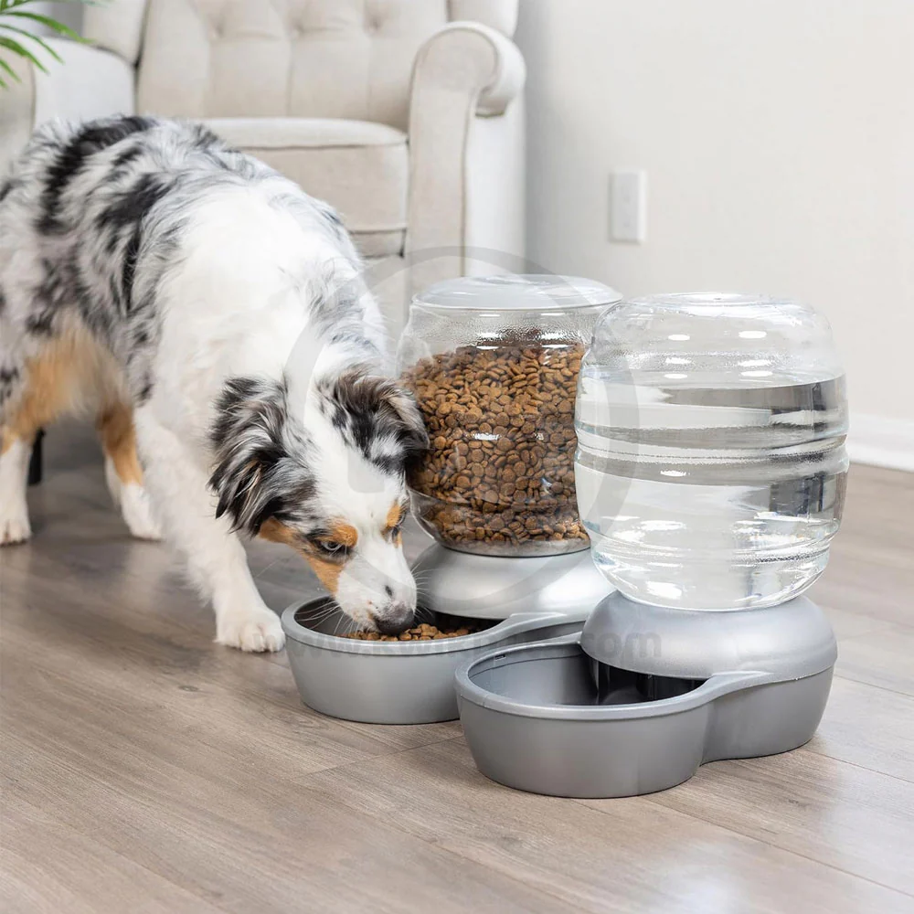 Petmate Replendish Automatic Dog & Cat Gravity Feeder with Microban Pearl Peacock Blue Extra Small - Image 4