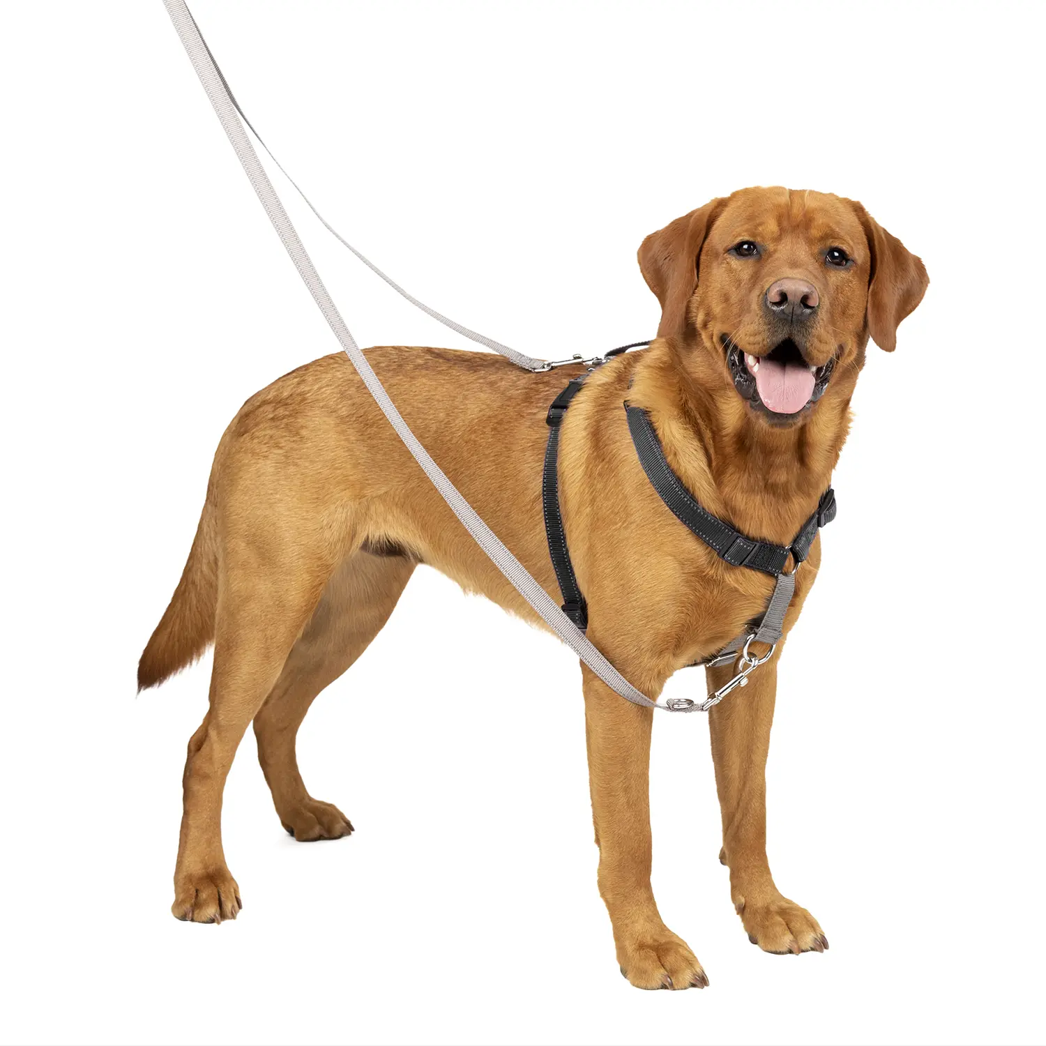 PetSafe 3-in-1 Reflective Dog Harness with Car Control Strap Black Large - Image 10