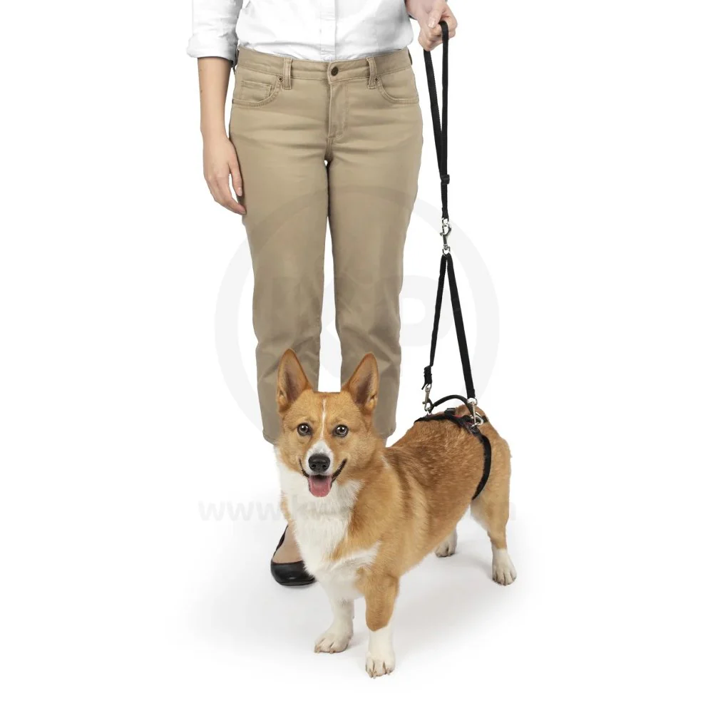 PetSafe CareLift Rear Support Dog Harness Black & Red Small - Image 4