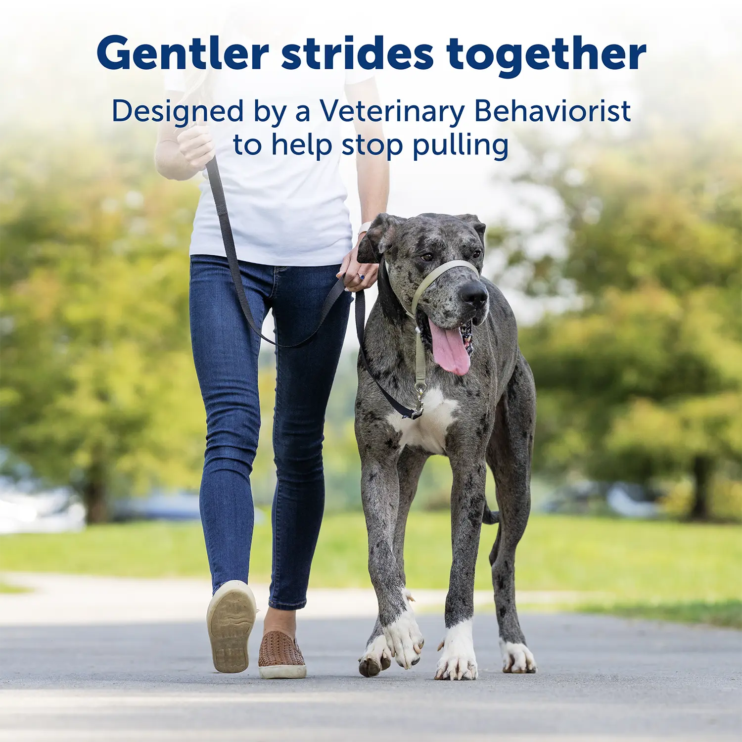 PetSafe Gentle Leader No-Pull Dog Headcollar Black Medium - Image 4