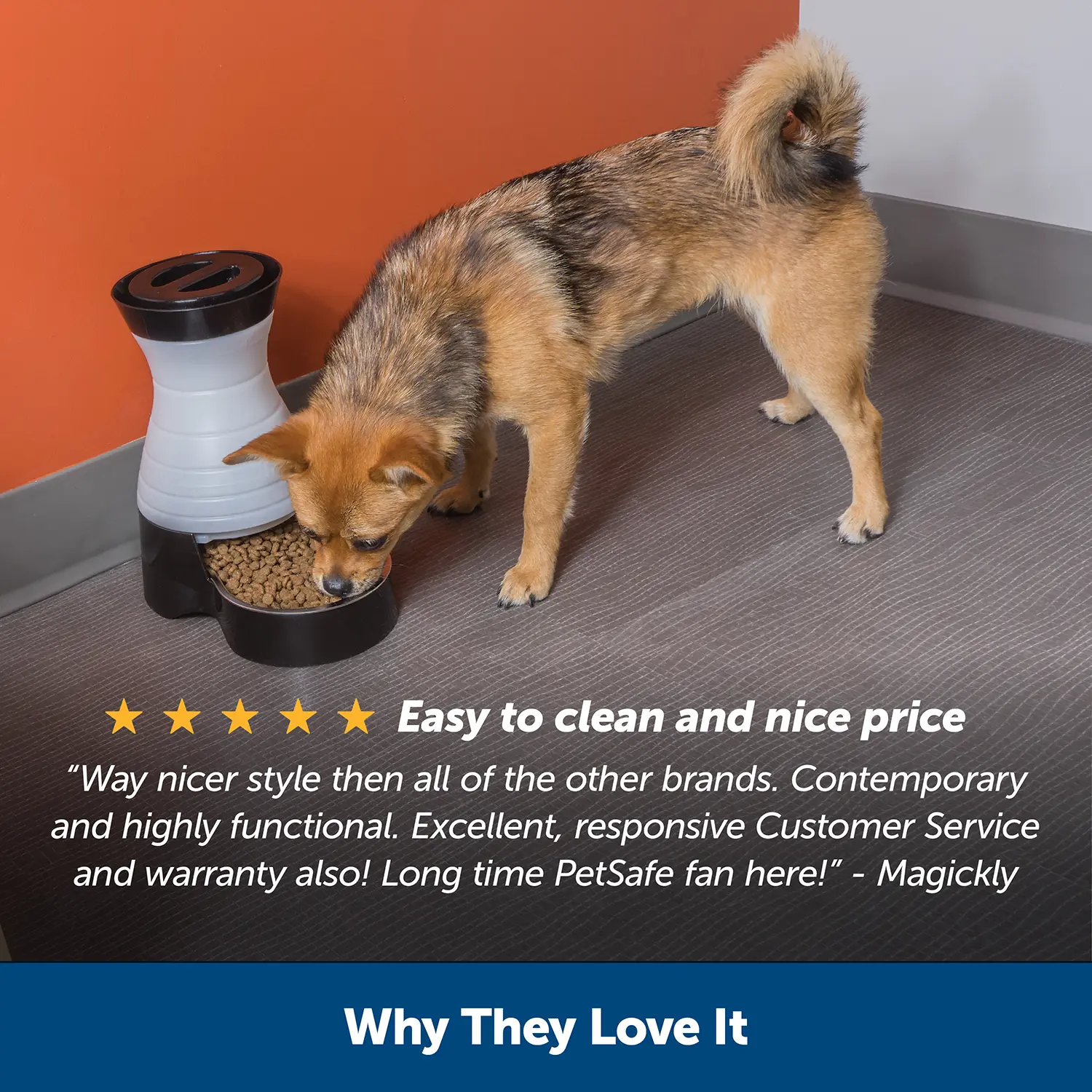 PetSafe Healthy Food Station Automatic Dog & Cat Gravity Feeder Small - Image 5