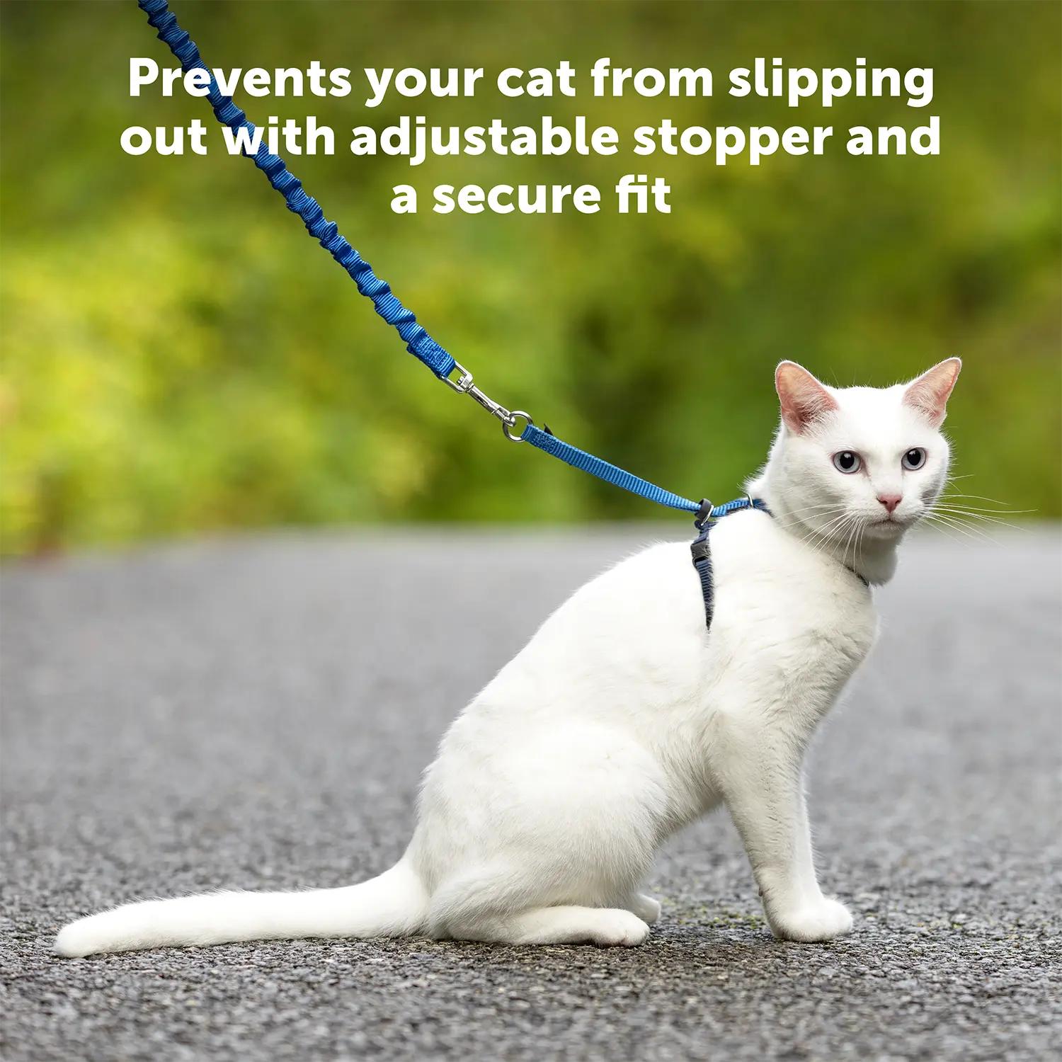PetSafe Premier Come With Me Kitty Harness & Bungee Leash Combo Black/Silver Large - Image 3