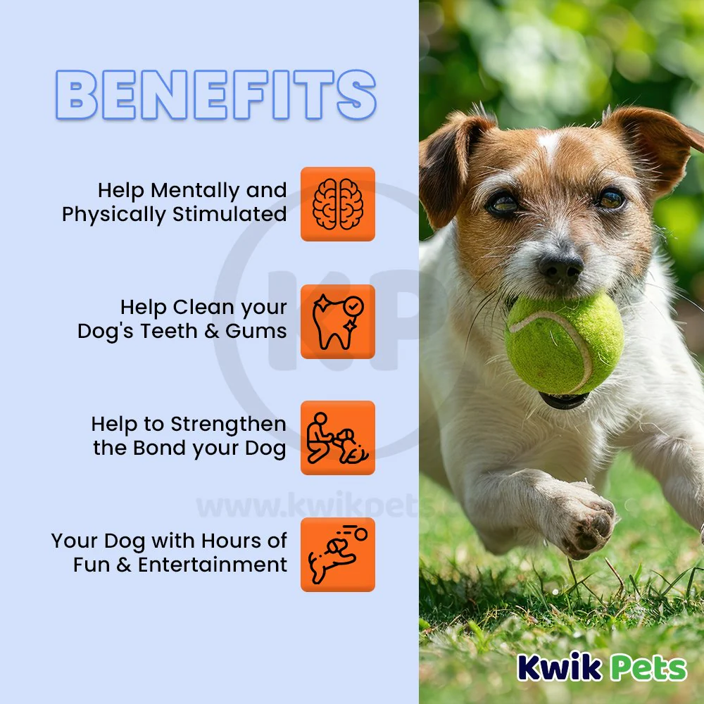 Petsport USA Jr. Mint Balls Dog Toy Assorted 1.8-in 2 Count - Image 3