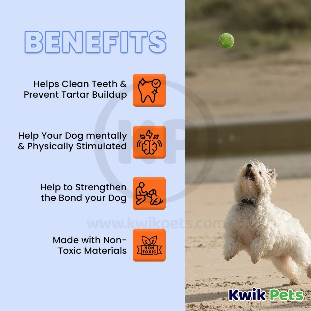 Petsport USA Tuff Ball Dog Toy Yellow 1.8-in - Image 3