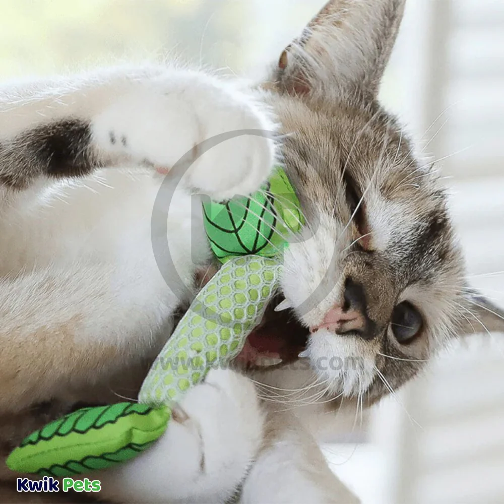 Petstages Fresh Breath Mint Stick Cat Toy One Size - Image 5