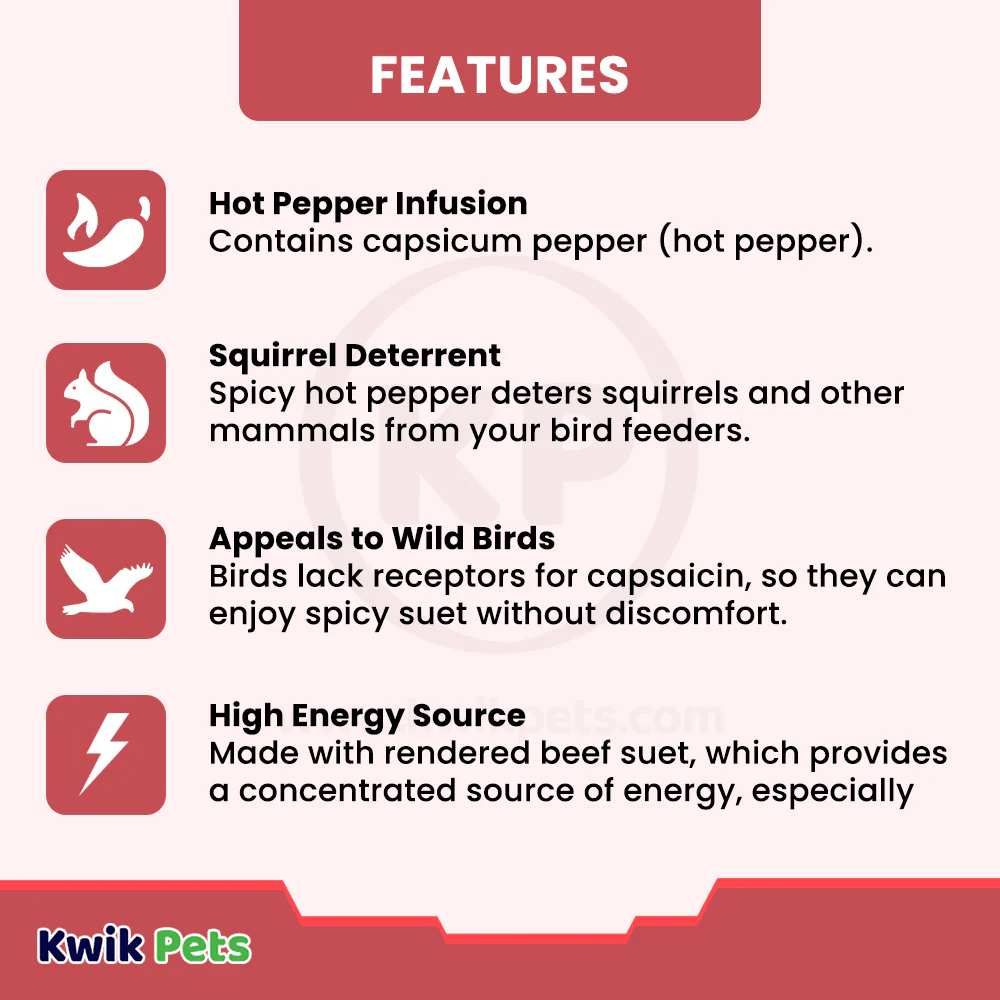 Pine Tree Farms Hot Pepper Suet Cake Wild Bird Food 12-oz - Image 2
