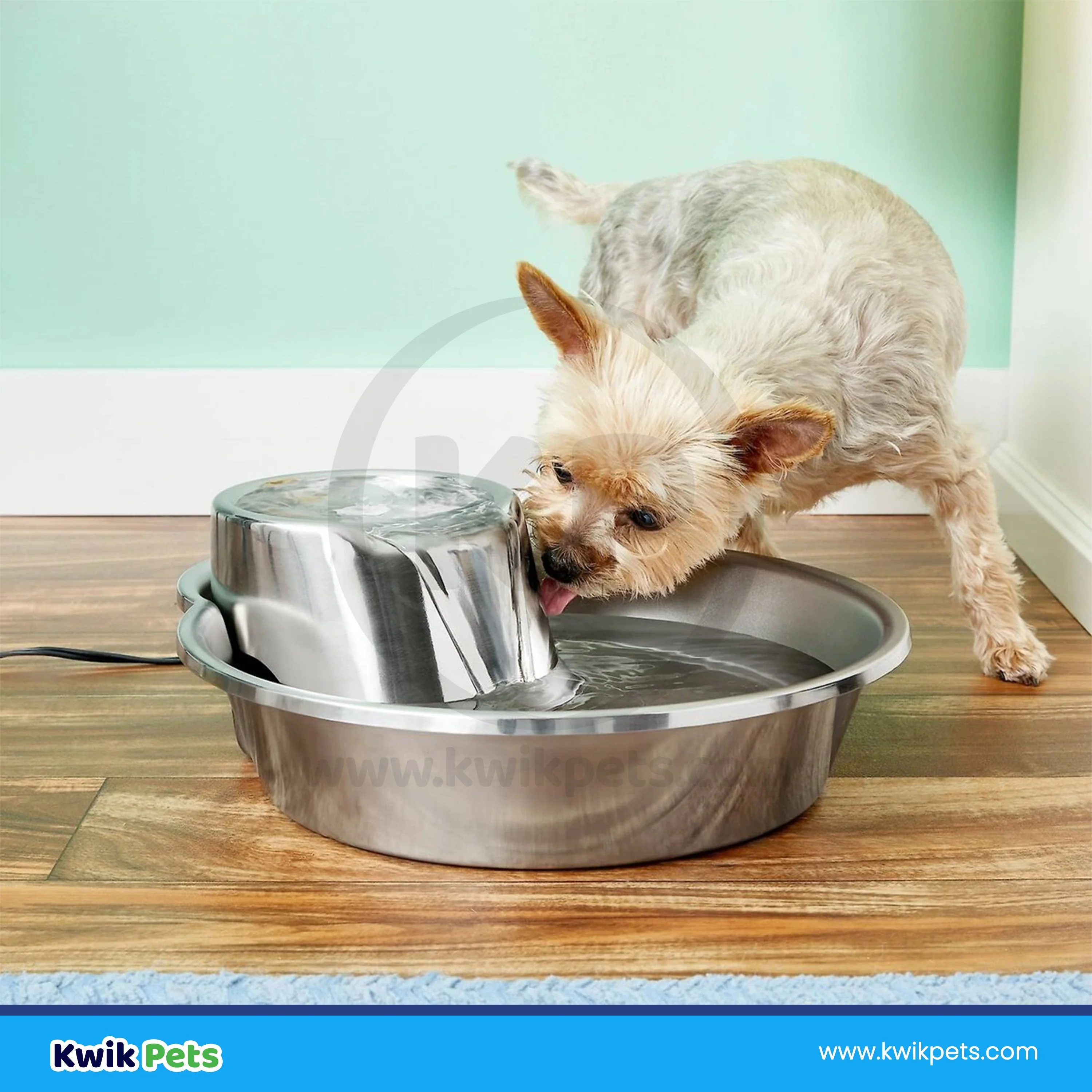 Pioneer Pet Big Max Stainless Steel Dog & Cat Drinking Fountain 128-oz - Image 5