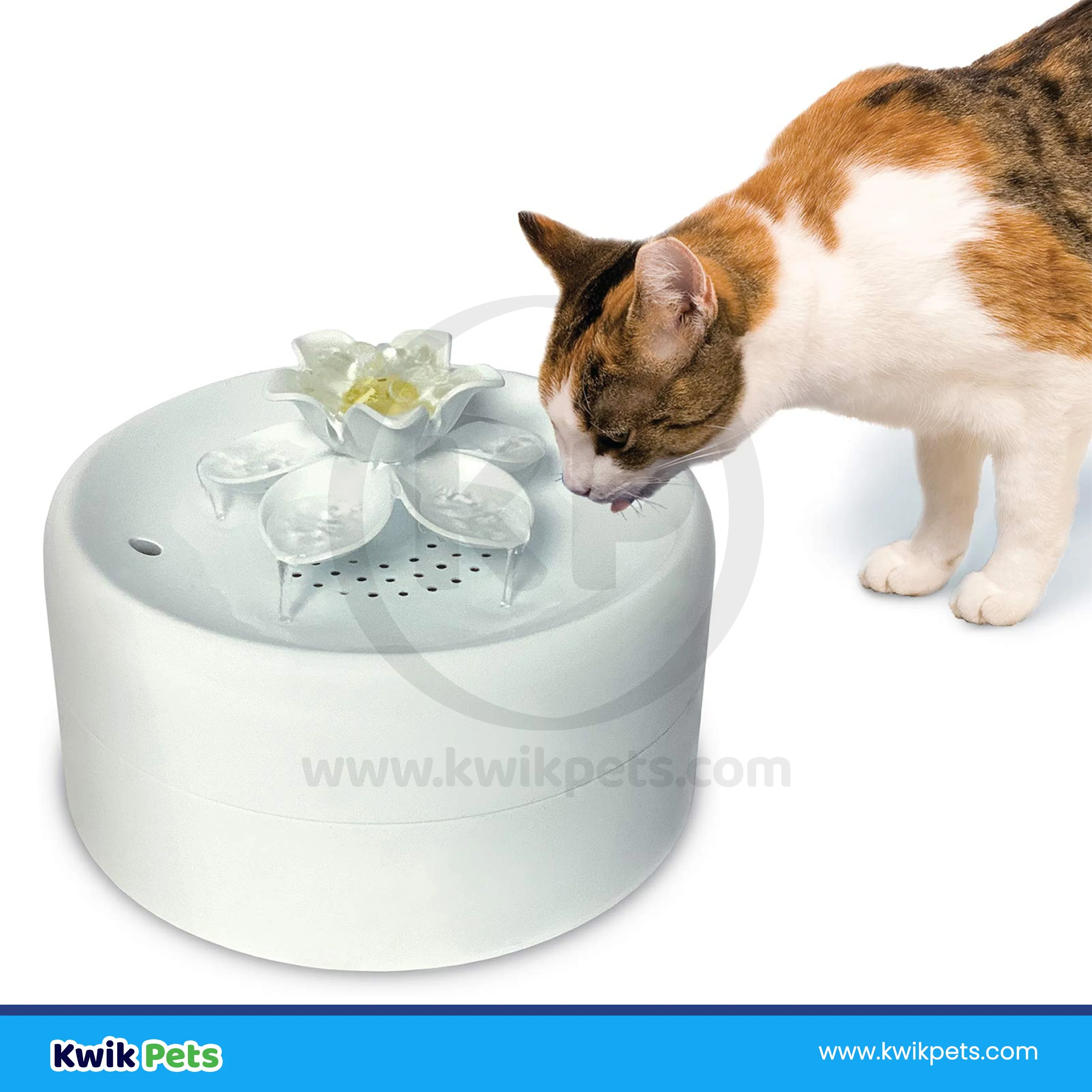 Pioneer Pet Magnolia Premium Plastic Dog & Cat Drinking Fountain White 55-oz - Image 8
