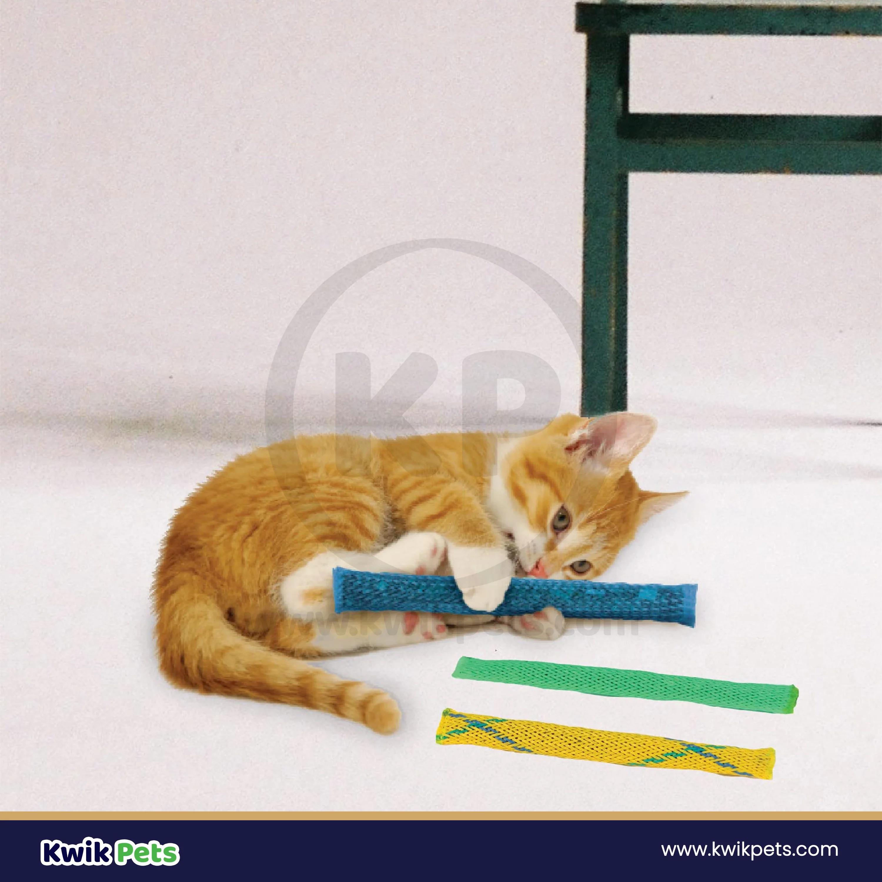 Pioneer Pet Nip Nibbler Catnip Cat Toy 3 Count - Image 5