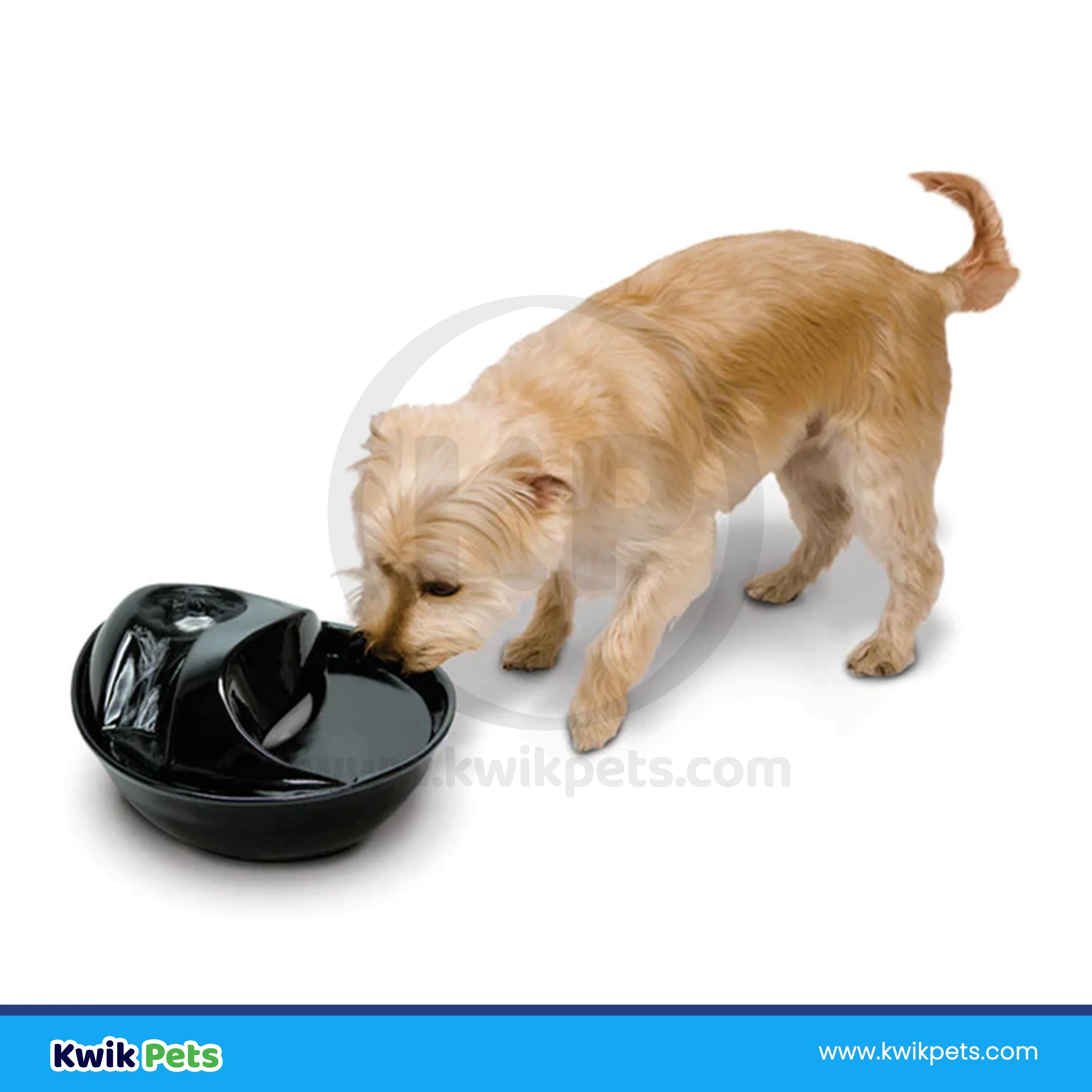 Pioneer Pet Raindrop Ceramic Dog & Cat Drinking Fountain Black 60-oz - Image 8