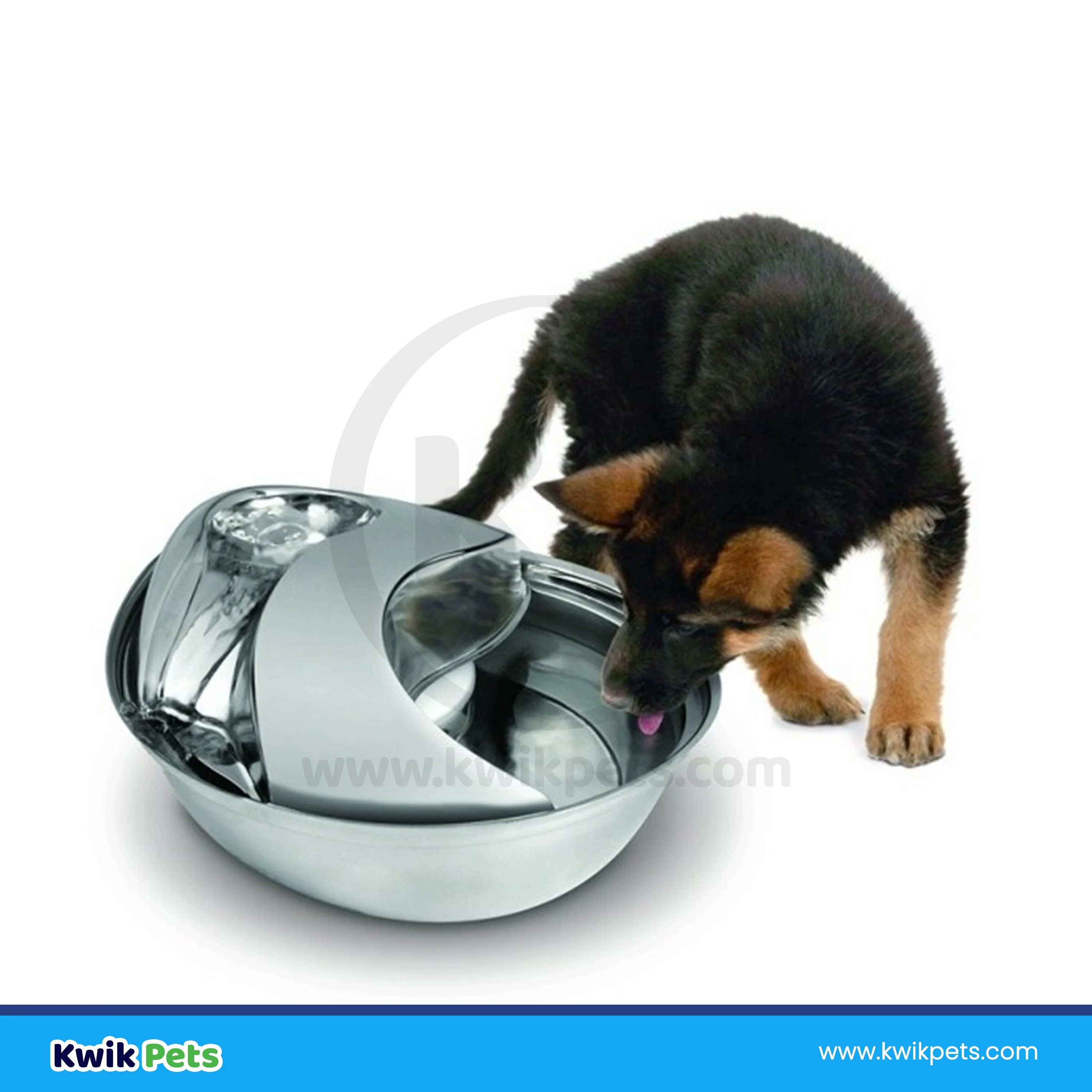 Pioneer Pet Raindrop Stainless Steel Dog & Cat Drinking Fountain 60-oz - Image 7