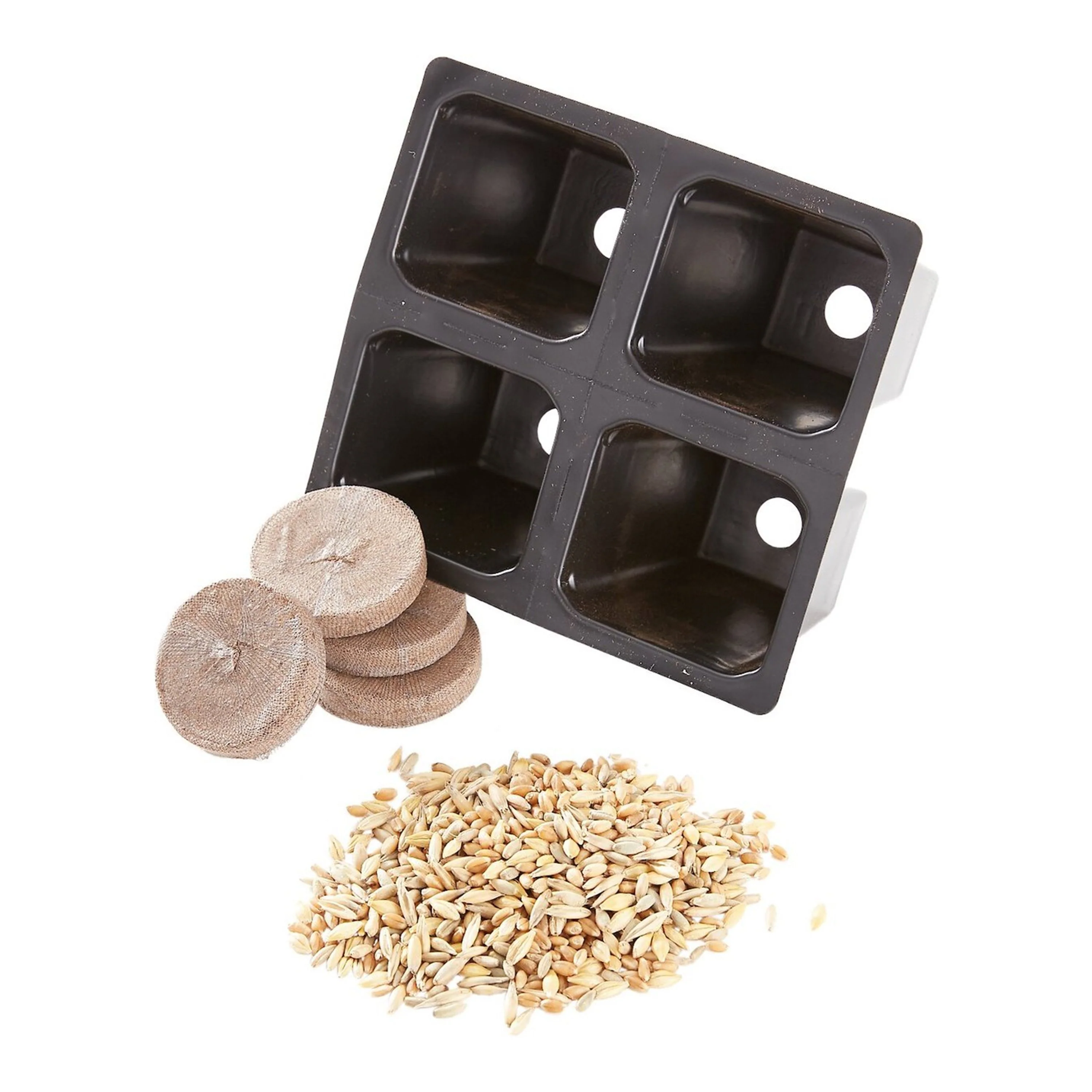Pioneer Pet SmartCat Kitty's Garden Edible Grass Refill Kit - Image 4