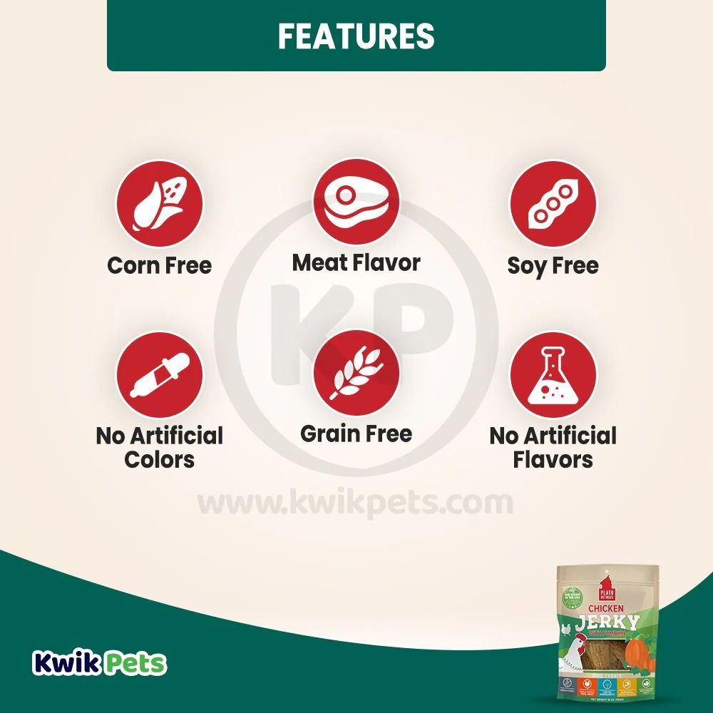 Plato Chicken Jerky With Pumpkin Dog Treats 16-oz - Image 3