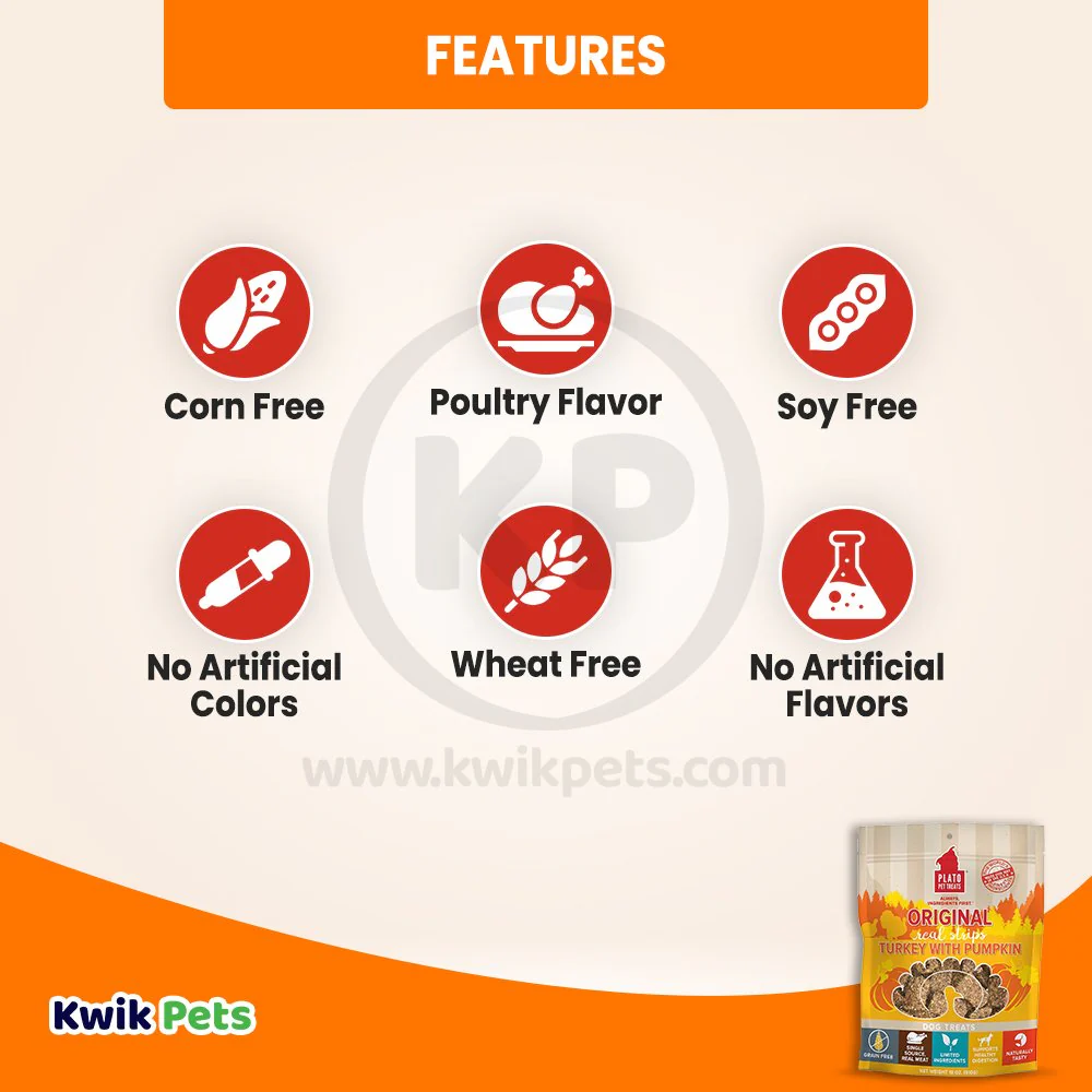 Plato Original Real Strips Grain Free Turkey with Pumpkin Dog Treats 18-oz - Image 3