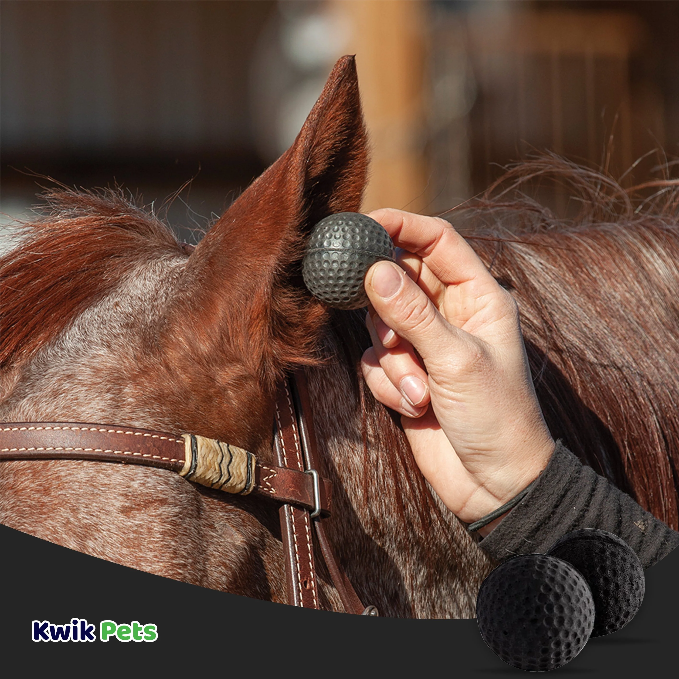 Equine Healthcare International Pony Pomms Horse Ear Plugs Black 2 Count - Image 5