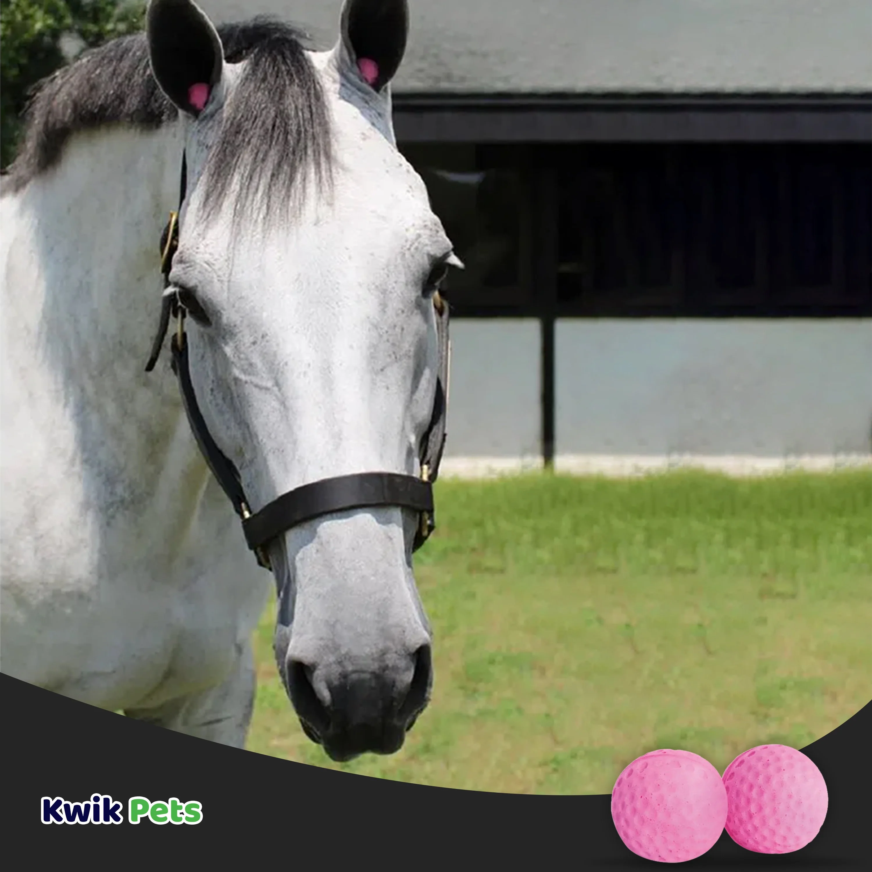 Equine Healthcare International Pony Pomms Horse Ear Plugs Pink 2 Count - Image 5