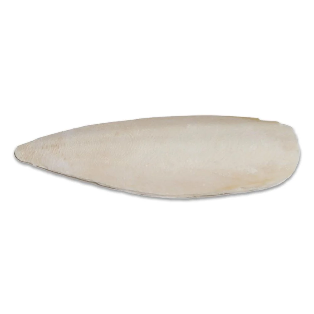 Prevue Pet Products Cuttlebone for Birds Small 4-in - Image 4