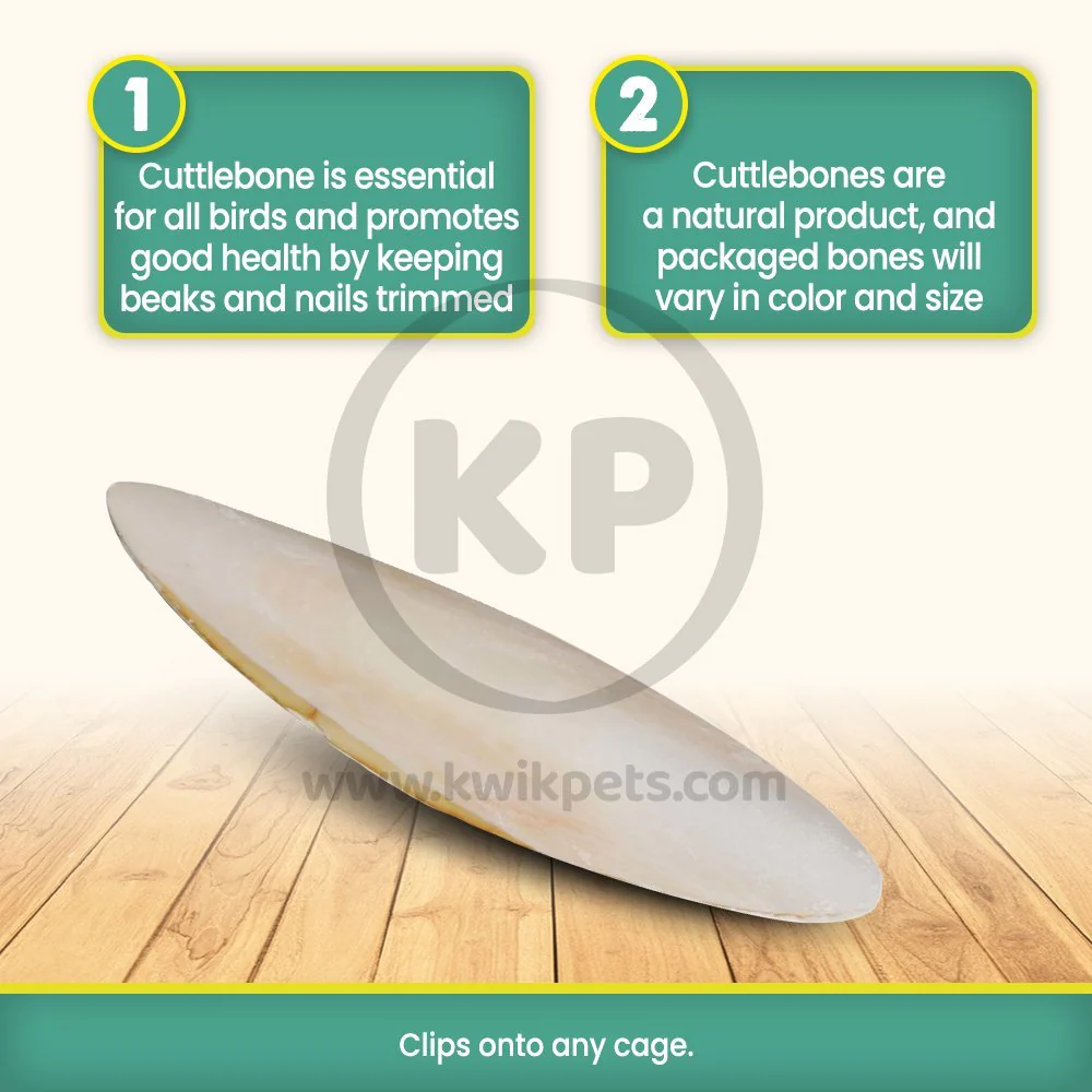 Prevue Pet Products Cuttlebone for Birds Large 6-in - Image 3