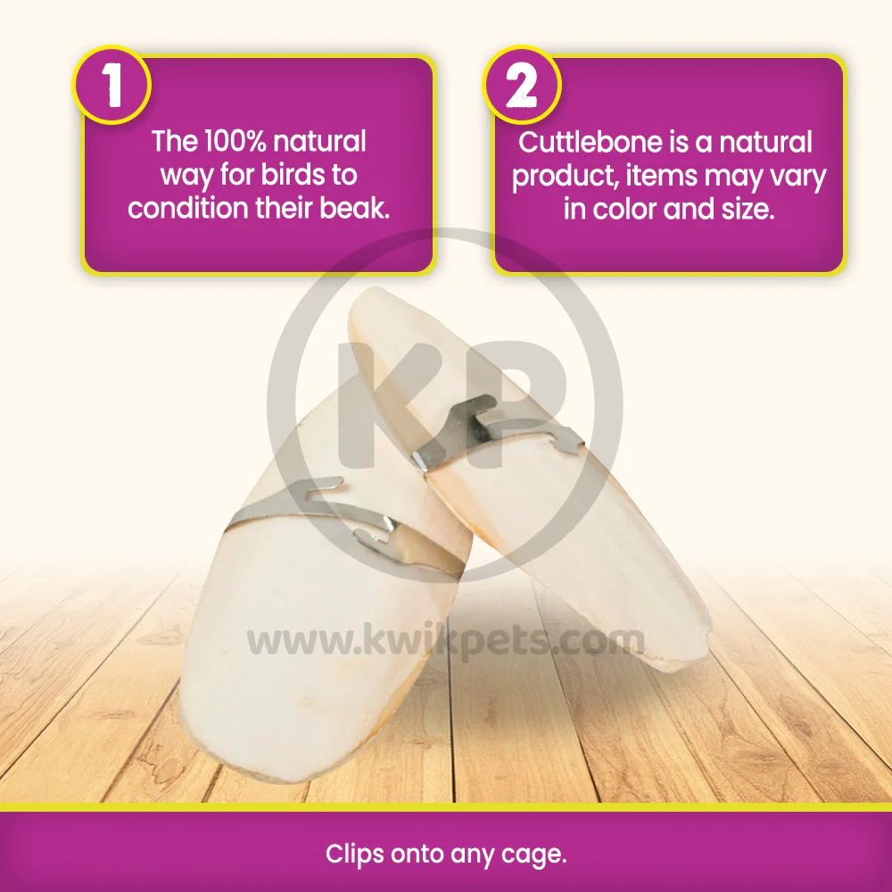 Prevue Pet Products Cuttlebone for Birds Small 4-in 2 Count - Image 3