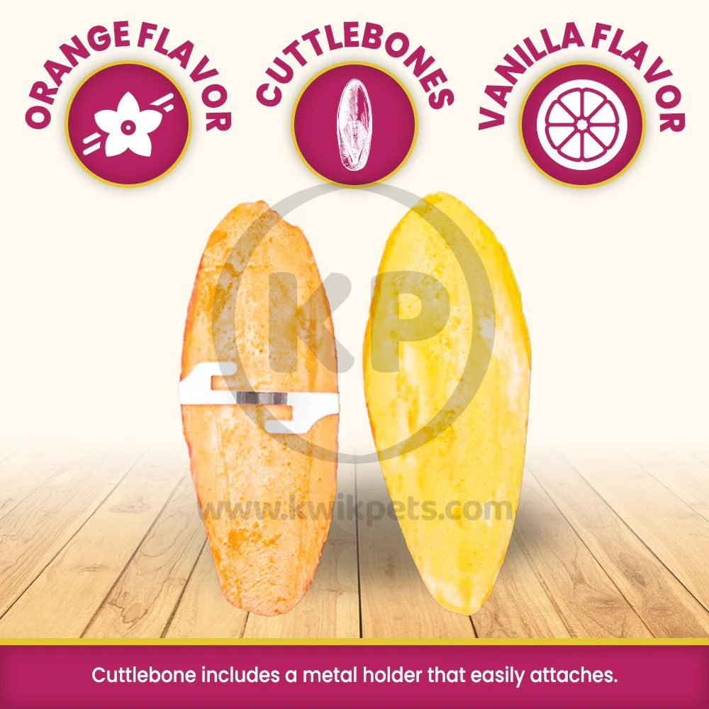 Prevue Pet Products Orange & Vanilla Flavored Cuttlebone for Birds 4-in 2 Count - Image 2
