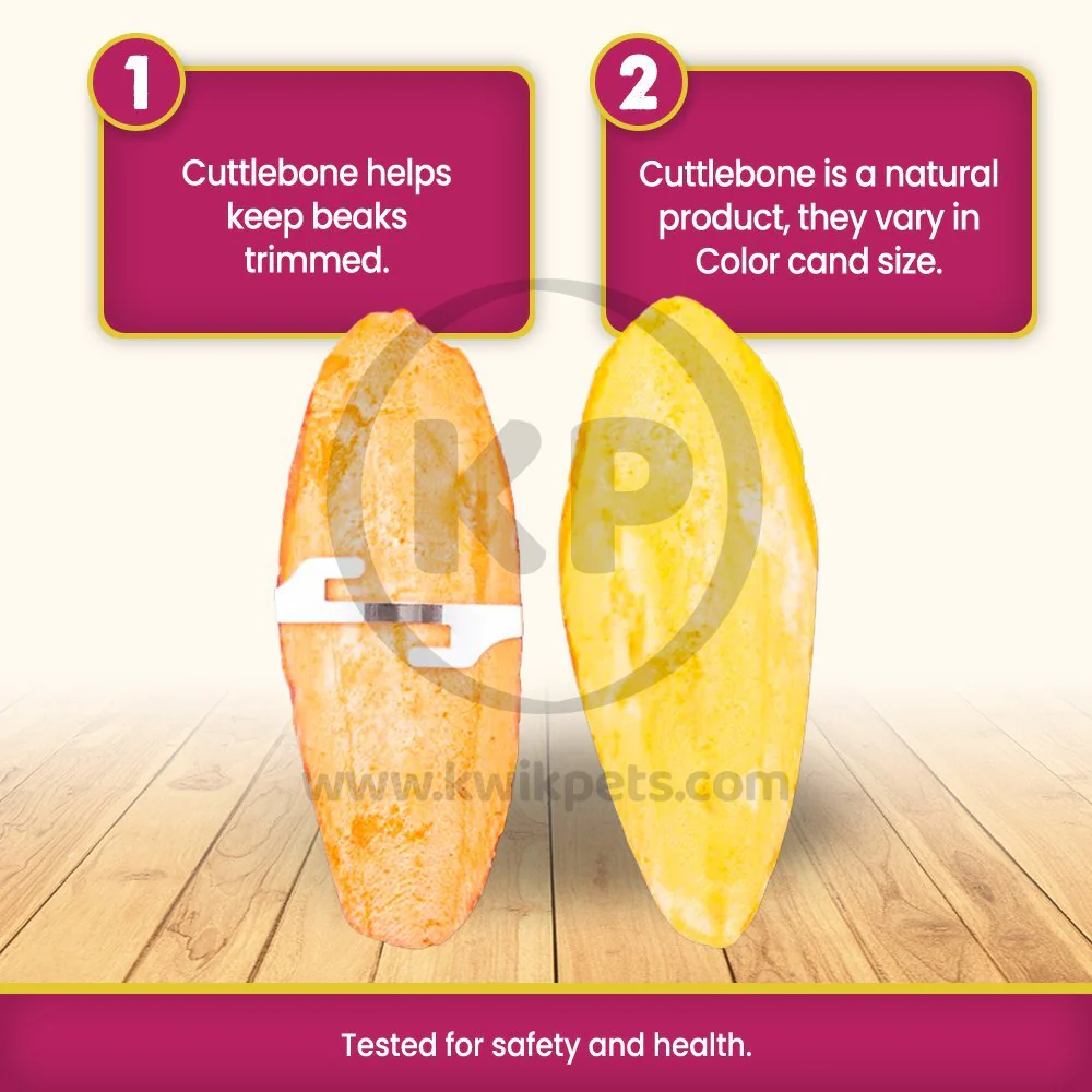 Prevue Pet Products Orange & Vanilla Flavored Cuttlebone for Birds 4-in 2 Count - Image 3