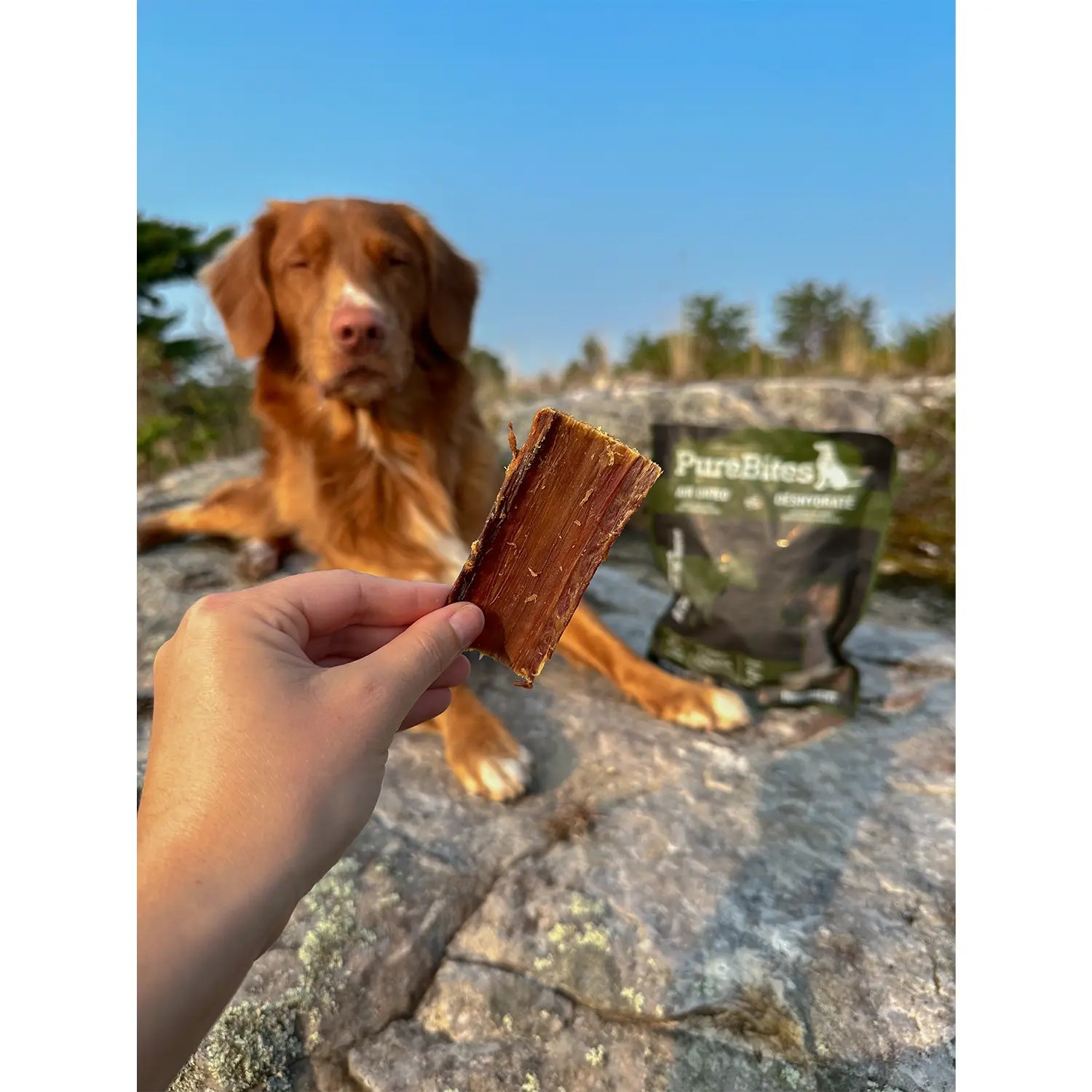 PureBites Beef Tenders Air-Dried Pure Jerky Dog Treats 7.5-oz - Image 8