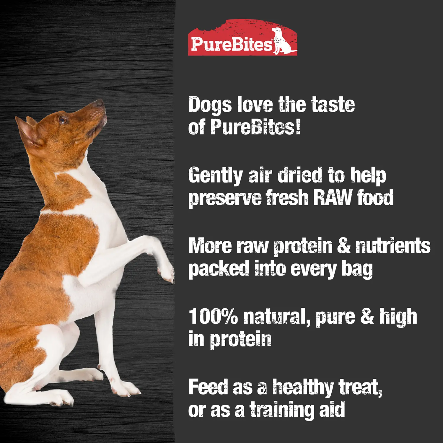PureBites Chicken Air-Dried Jerky Dog Treats 5.5-oz - Image 3