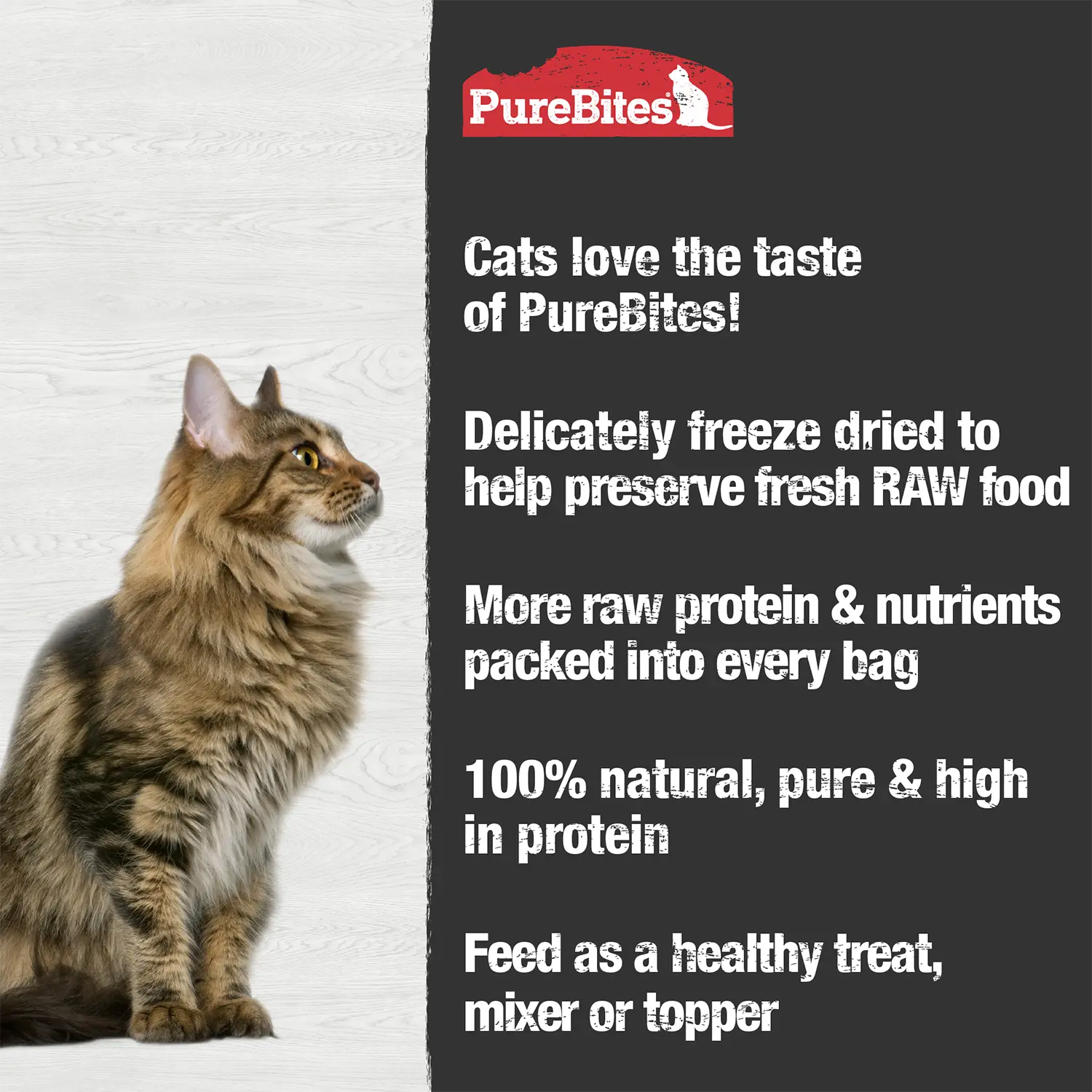 PureBites Chicken Breast Freeze-Dried Cat Treats 2.3-oz - Image 3