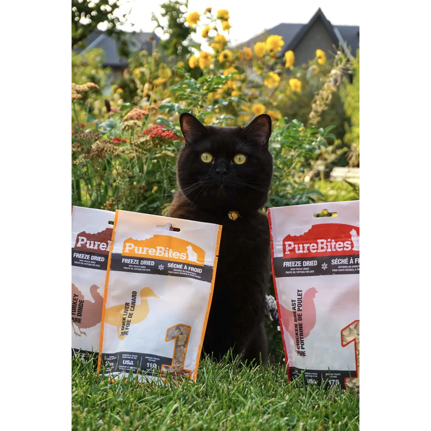 PureBites Duck Liver Freeze-Dried Cat Treats 1.05-oz - Image 9