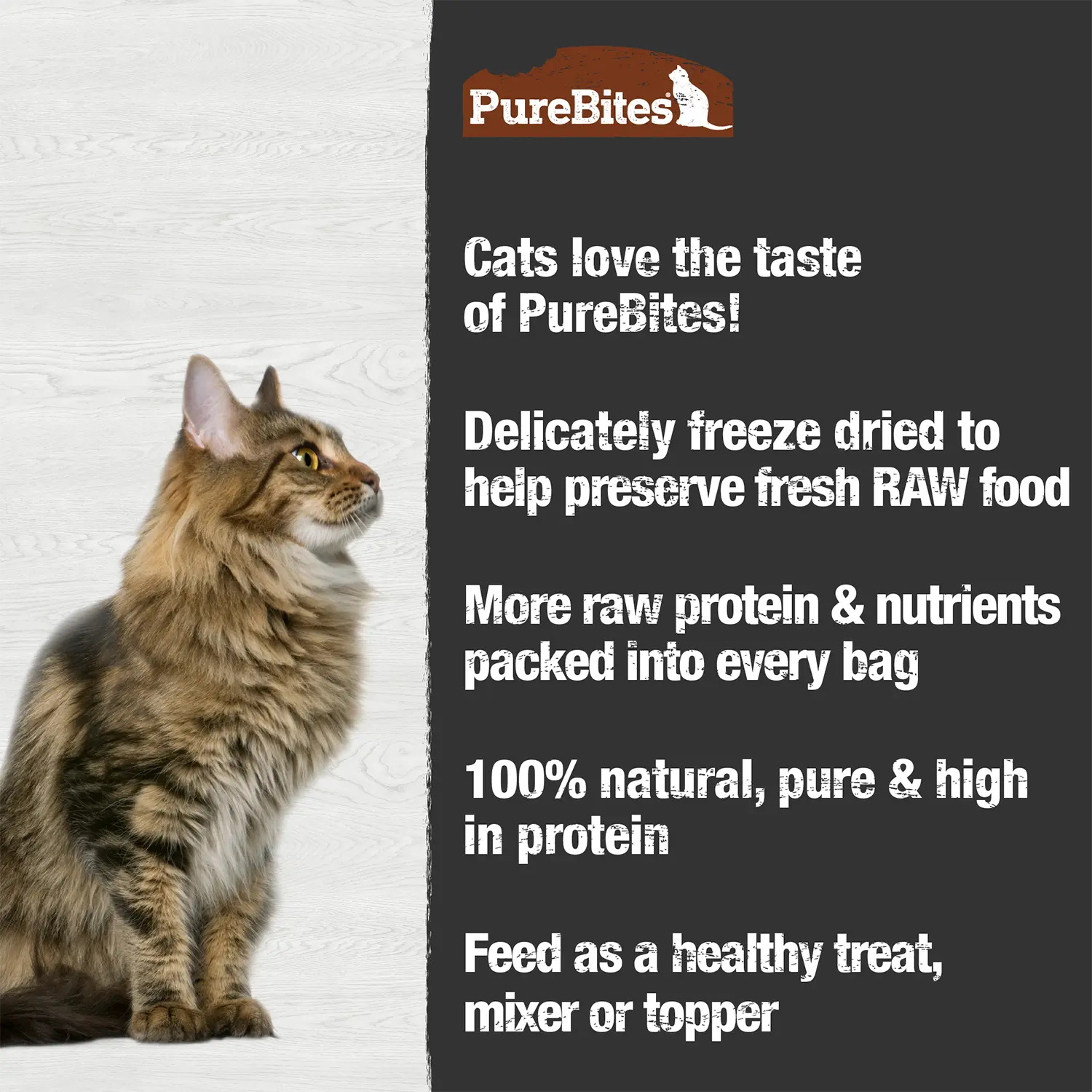 PureBites Turkey Breast Freeze-Dried Cat Treats 0.92-oz - Image 3