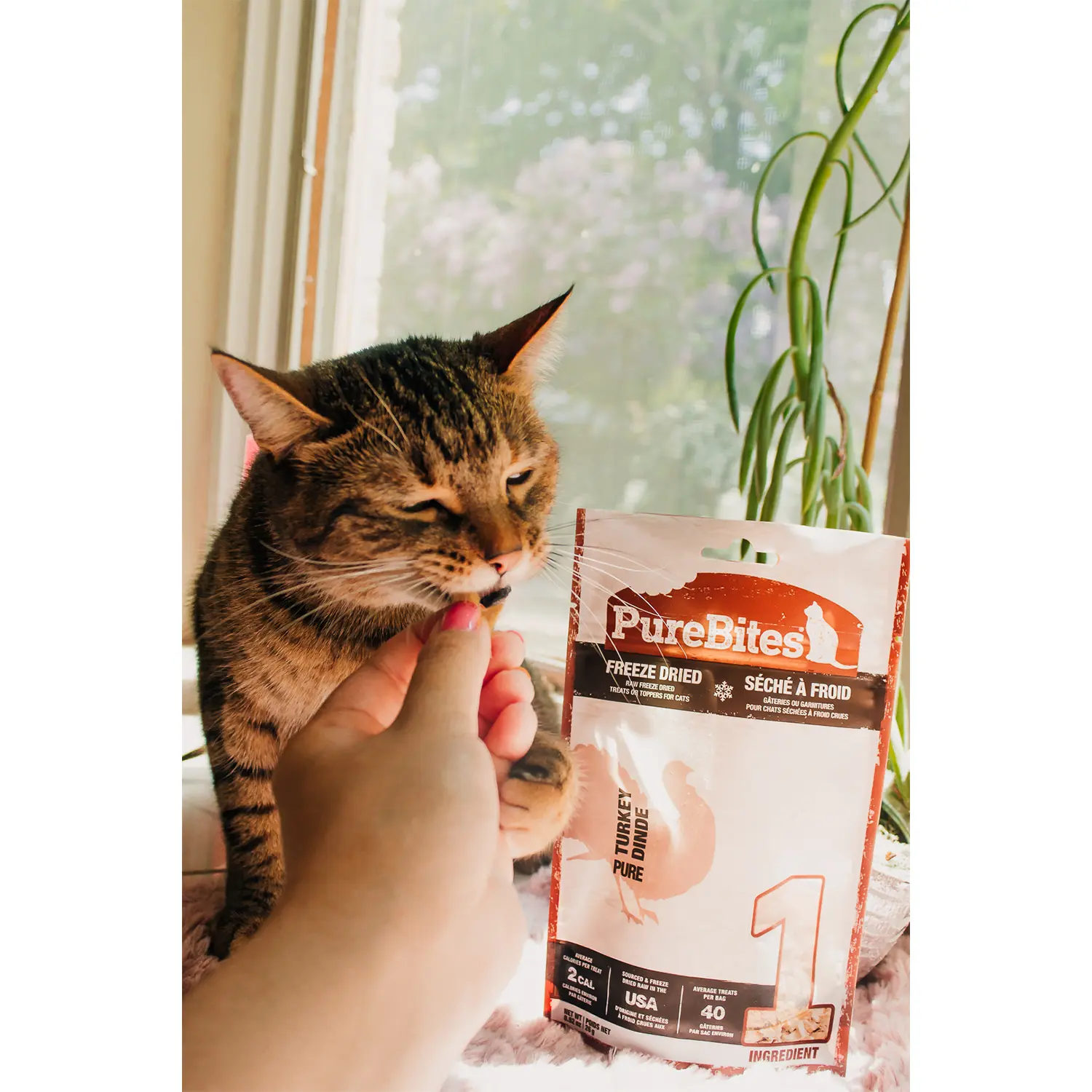 PureBites Turkey Breast Freeze-Dried Cat Treats 0.92-oz - Image 7