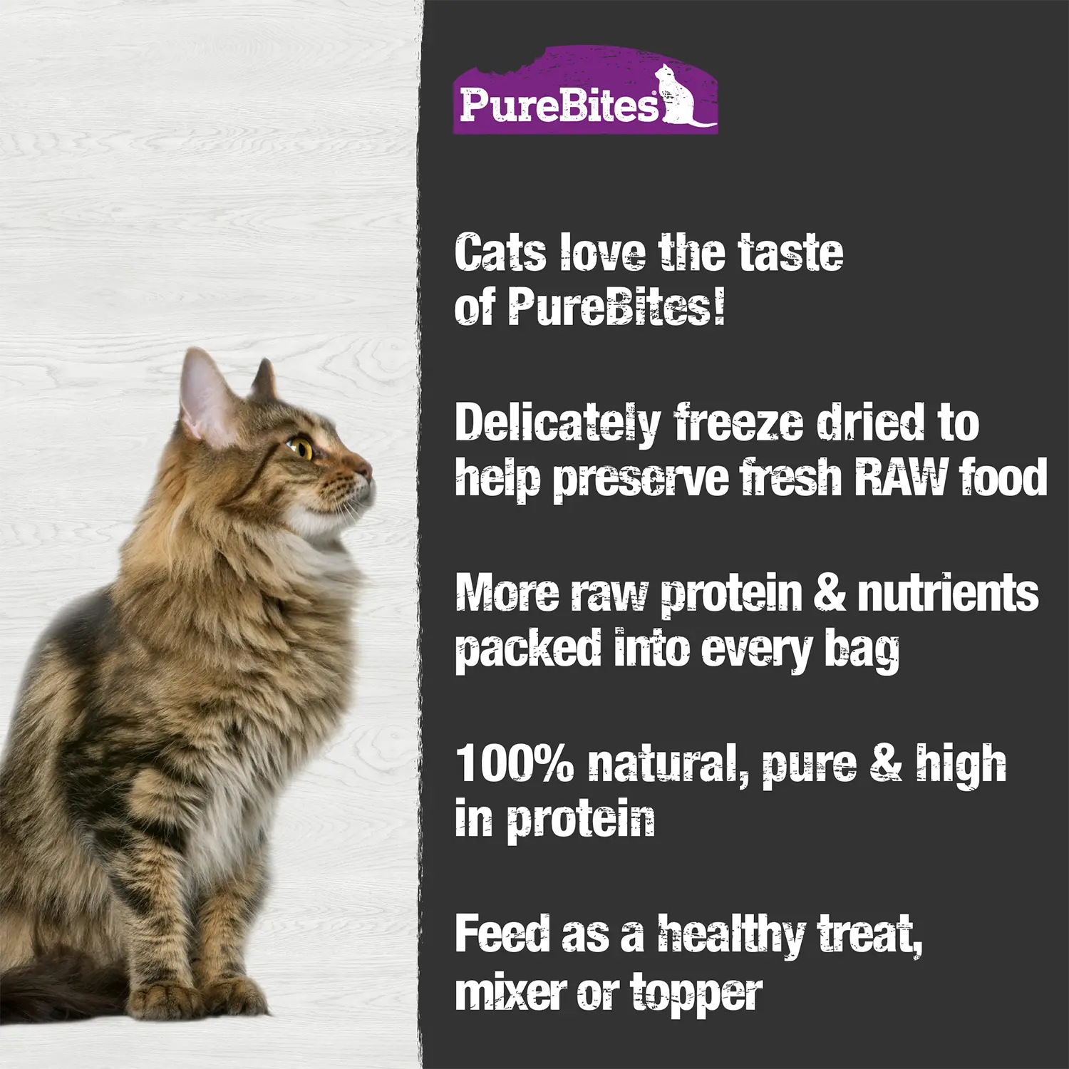 PureBites Whitefish Freeze-Dried Cat Treats 0.7-oz - Image 3