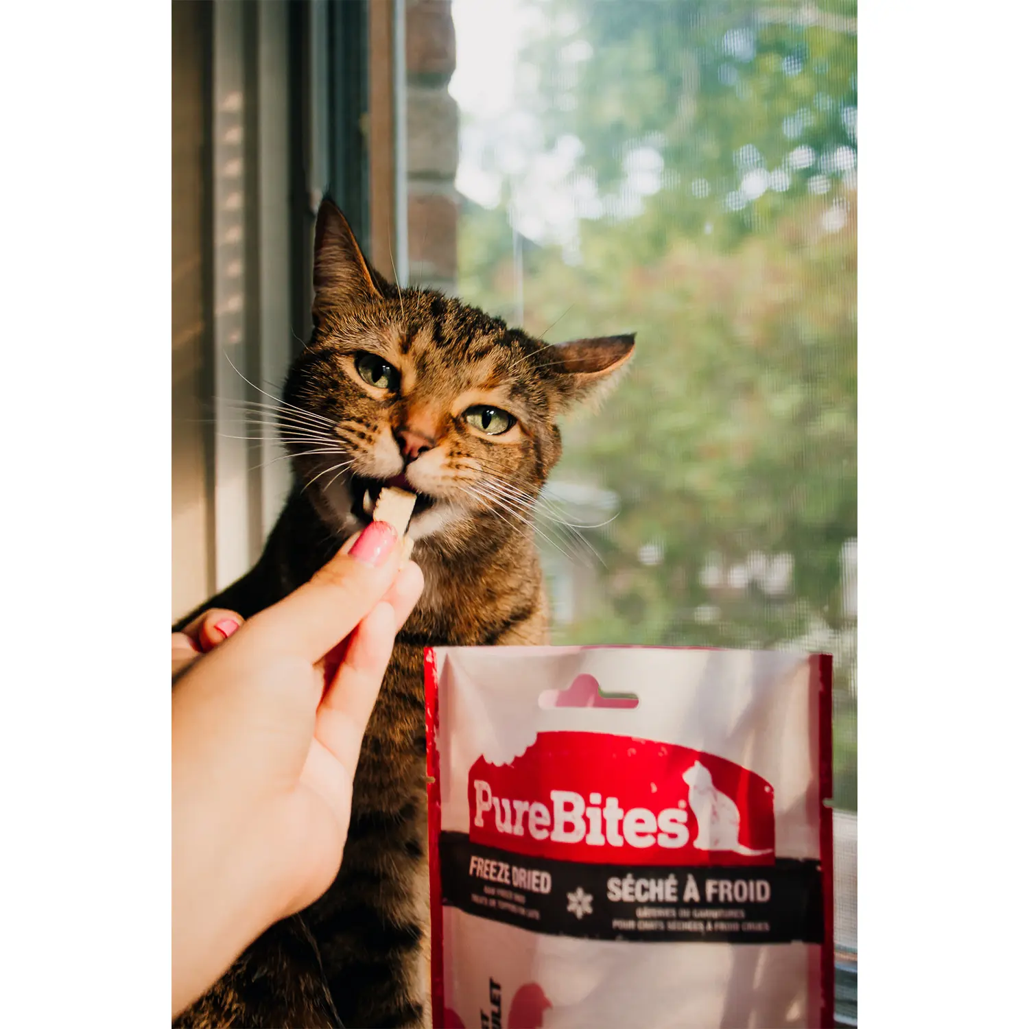 PureBites Whitefish Freeze-Dried Cat Treats 0.7-oz - Image 8