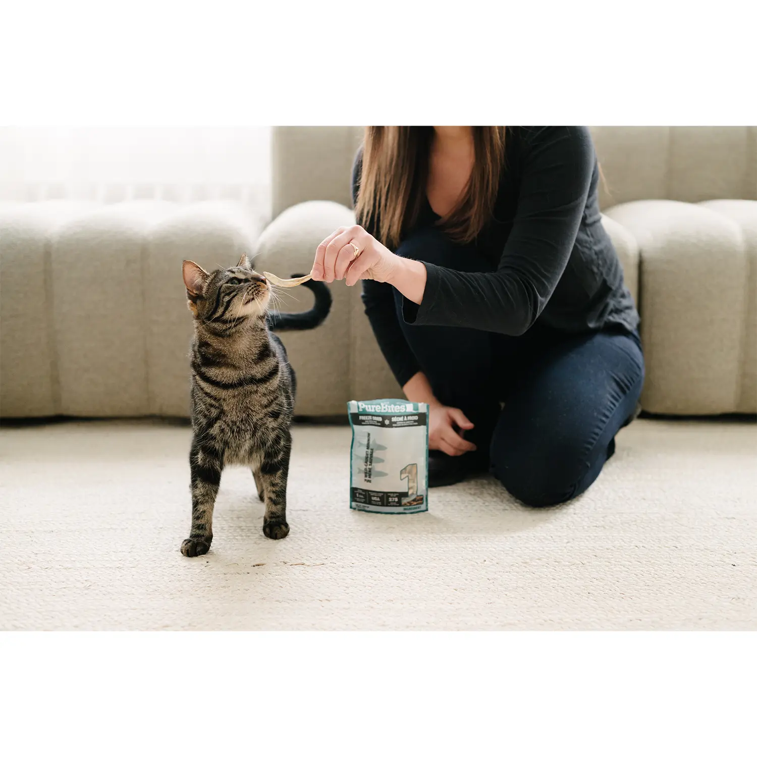 PureBites Wild-Caught Minnow Freeze-Dried Pure Cat Treats 2.3-oz - Image 9