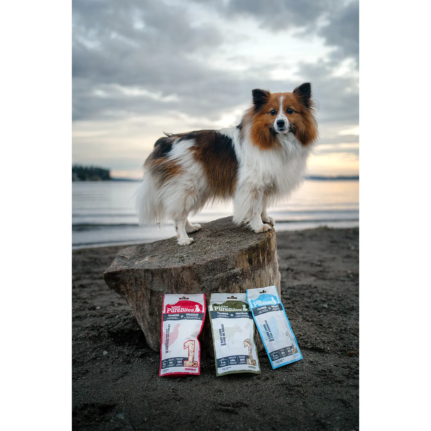 PureBites Mini-Trainers Chicken Breast Freeze-Dried Pure Dog Treats 2.1-oz - Image 7