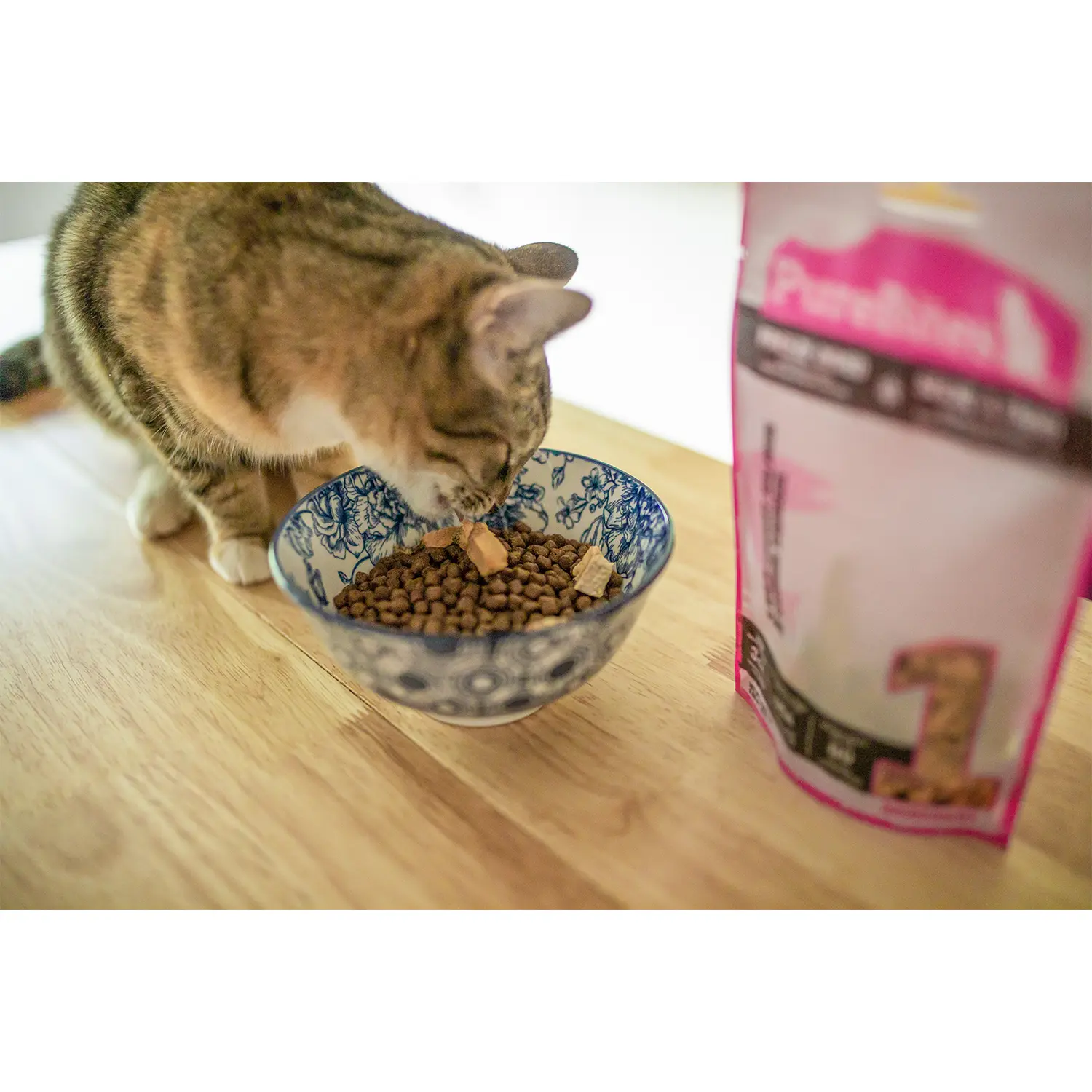 PureBites Wild Pacific Salmon Freeze-Dried Cat Treats 0.92-oz - Image 7