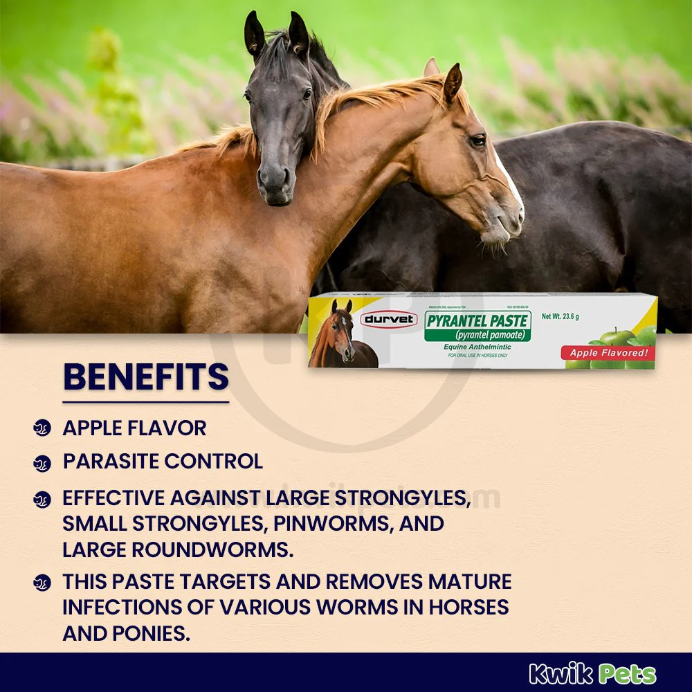 Durvet Pyrantel Horse Dewormer Paste 23.6 Gram - Image 3